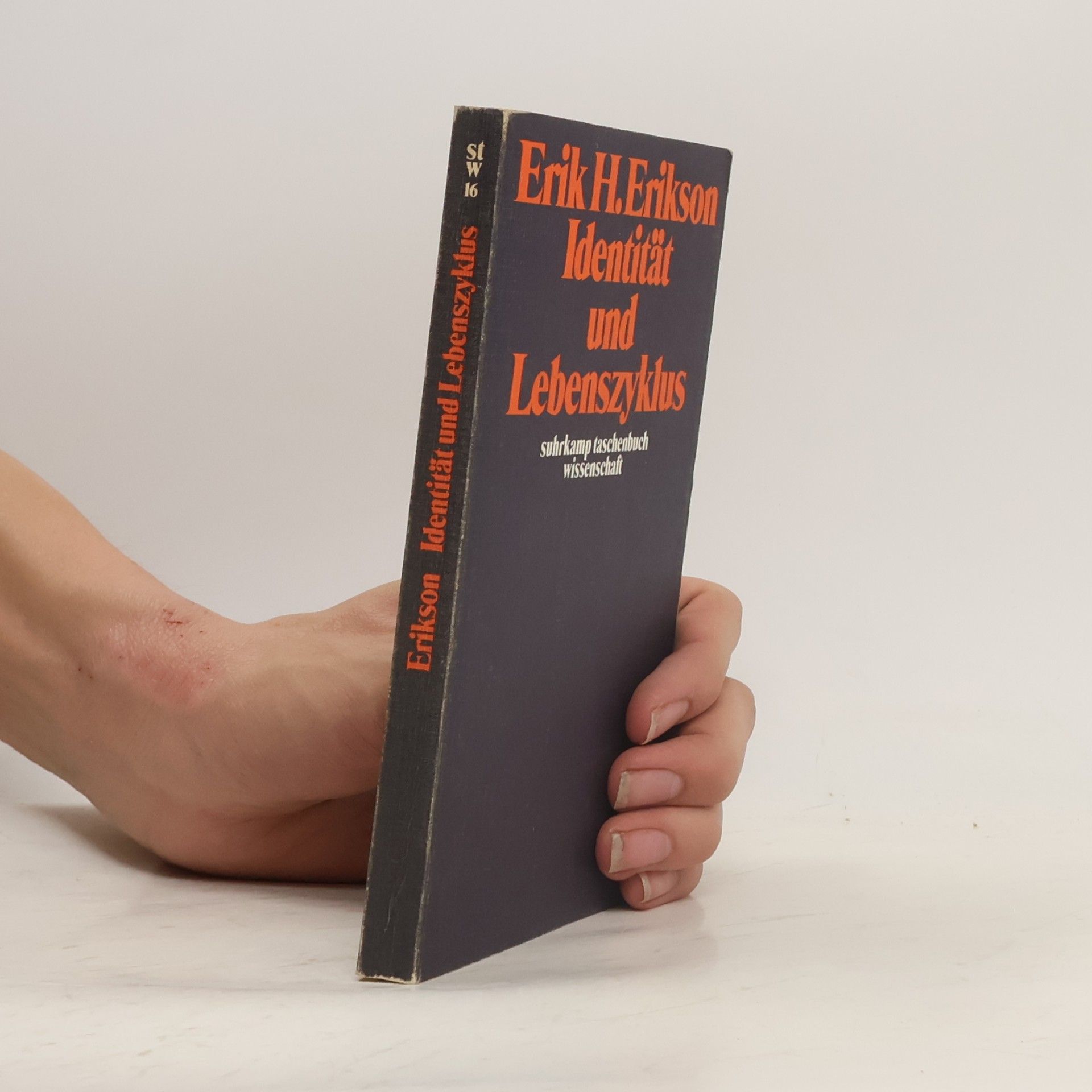 Erik H. Erik Homburger Erikson Identität und Lebenszyklus