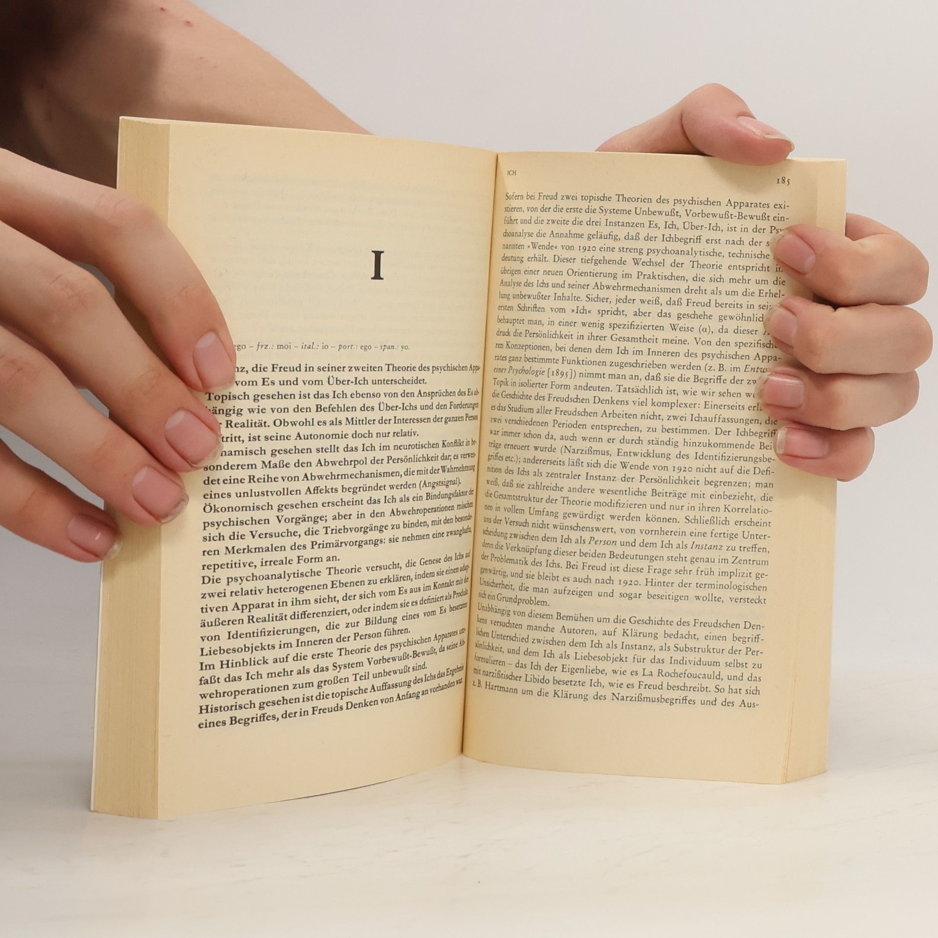Jean Laplanche Das Vokabular der Psychoanalyse