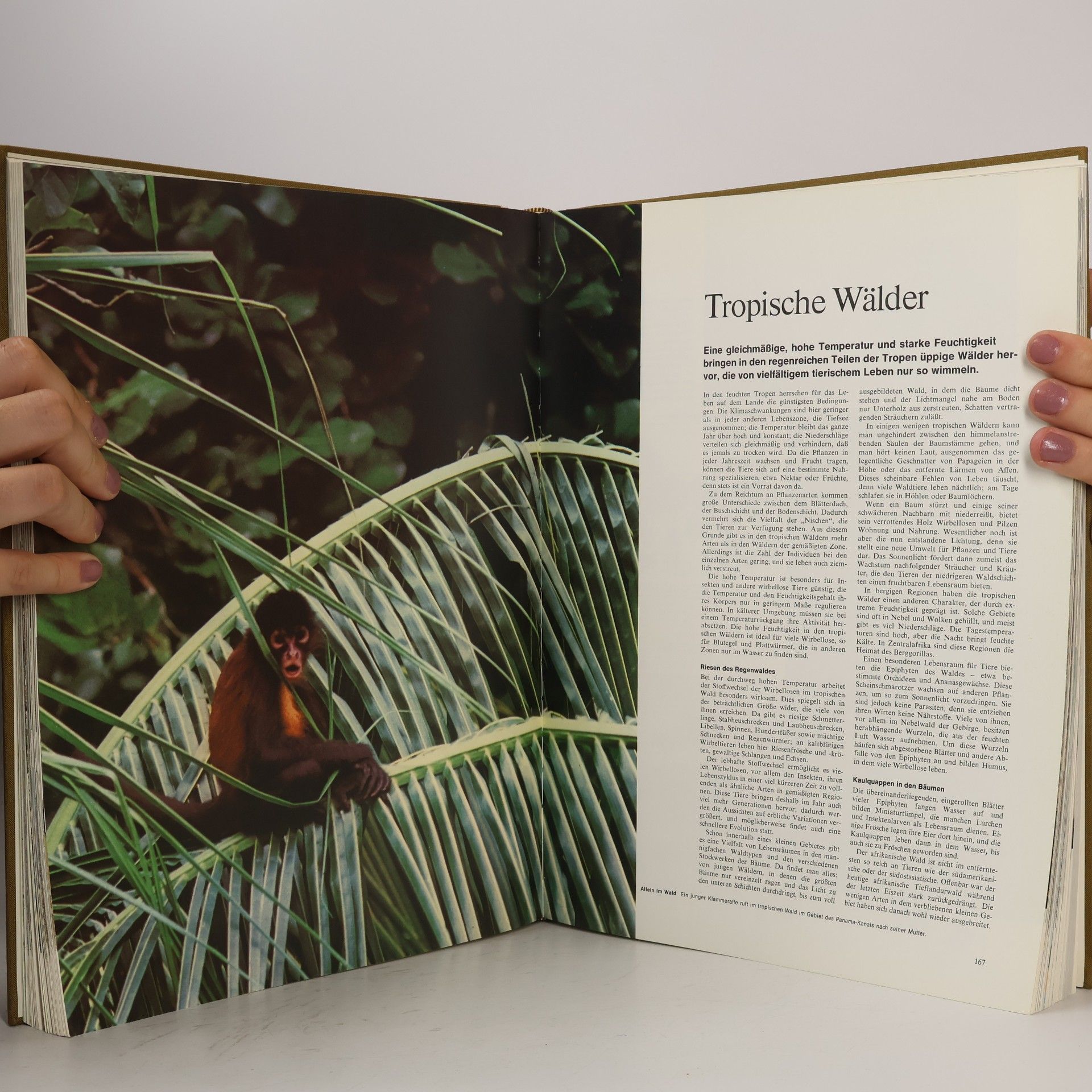 Autorenkollektiv Reader's Digest Bildatlas der Tierwelt