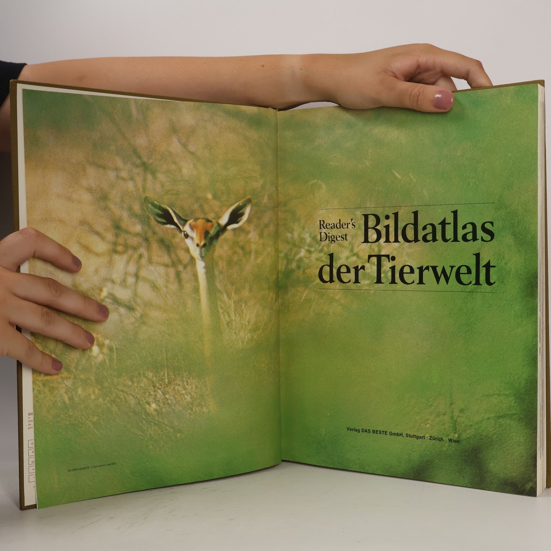 Autorenkollektiv Reader's Digest Bildatlas der Tierwelt