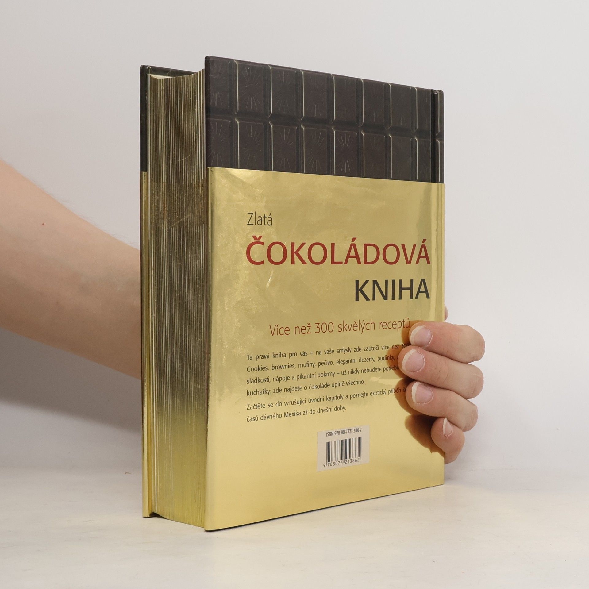 Kolektiv autorů Zlatá čokoládová kniha