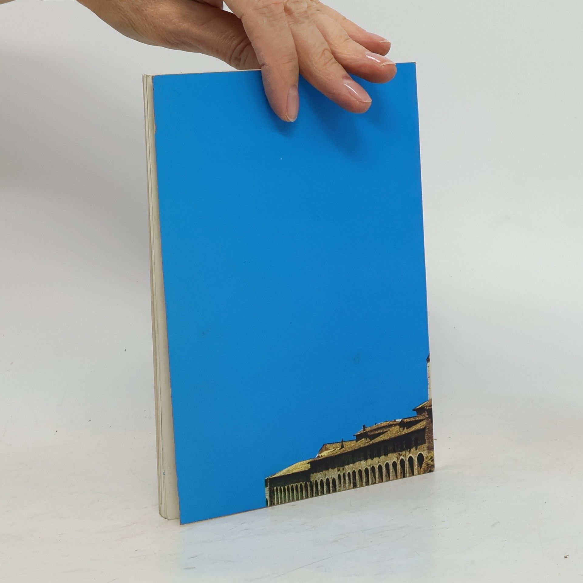 Various authors Assisi. A Colour Tourist Guide Book