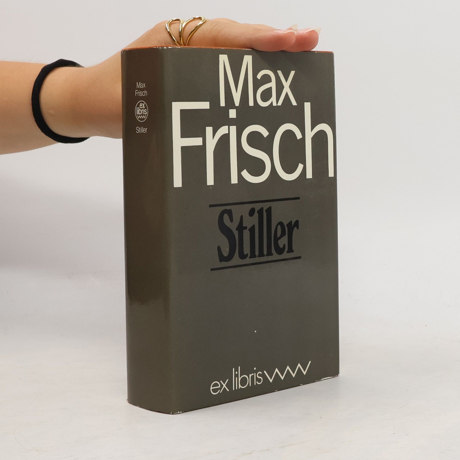 Max Frisch Stiller