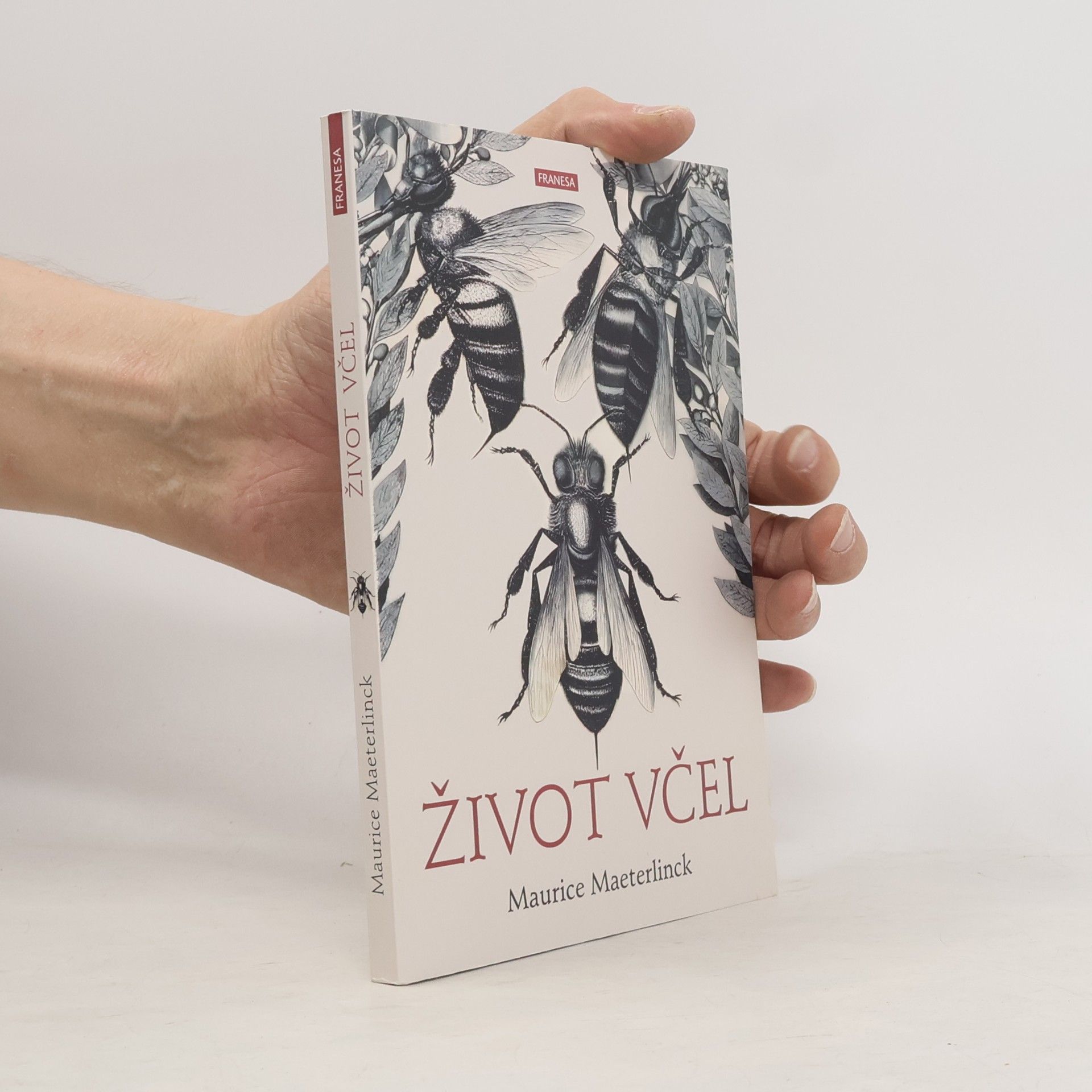 Život včel