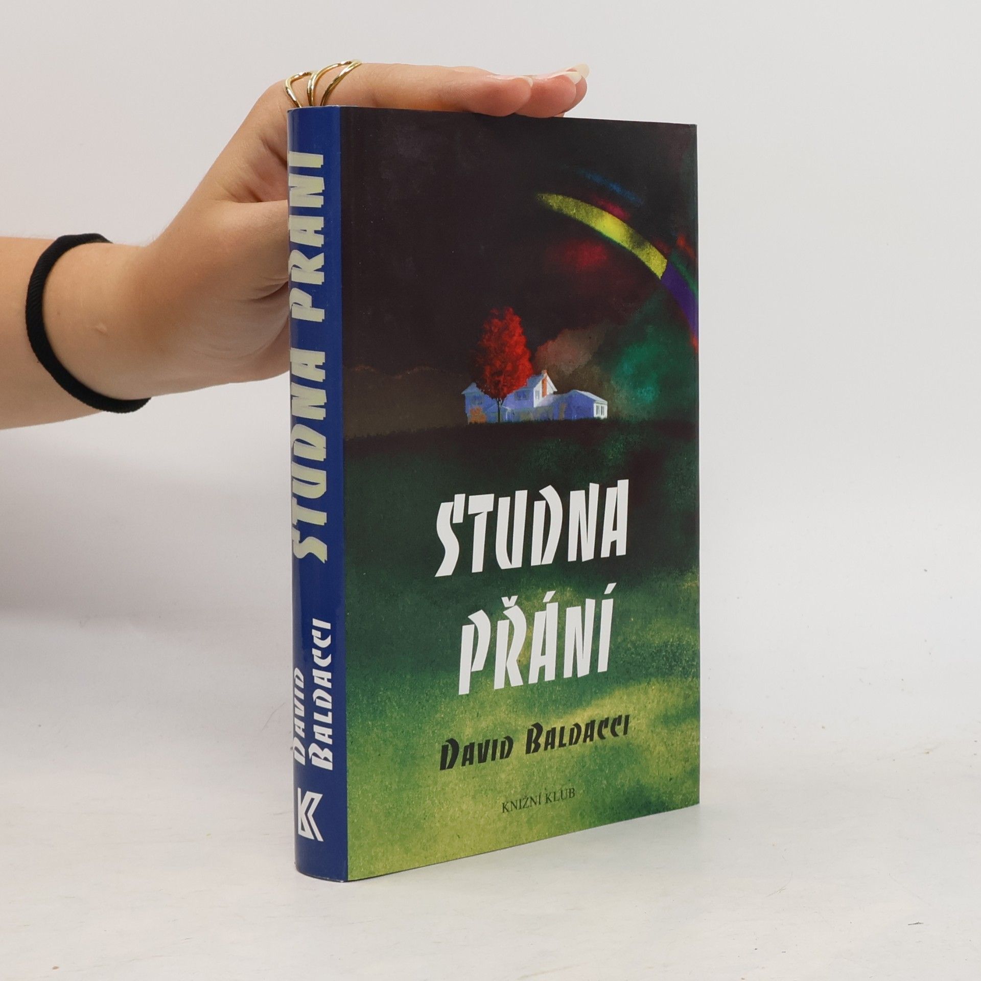 David Baldacci Studna přání