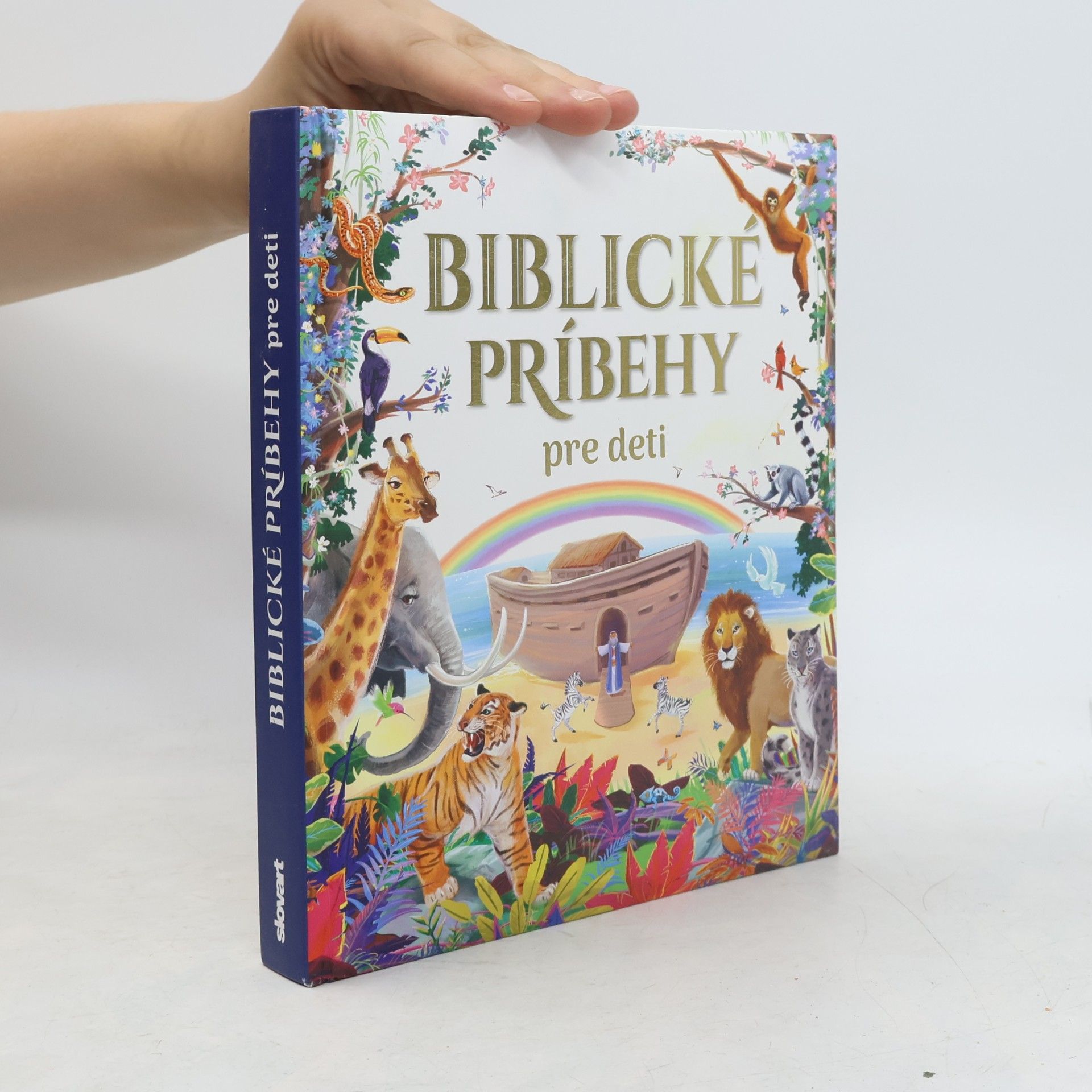 Autorenkollektiv Biblické príbehy pre deti