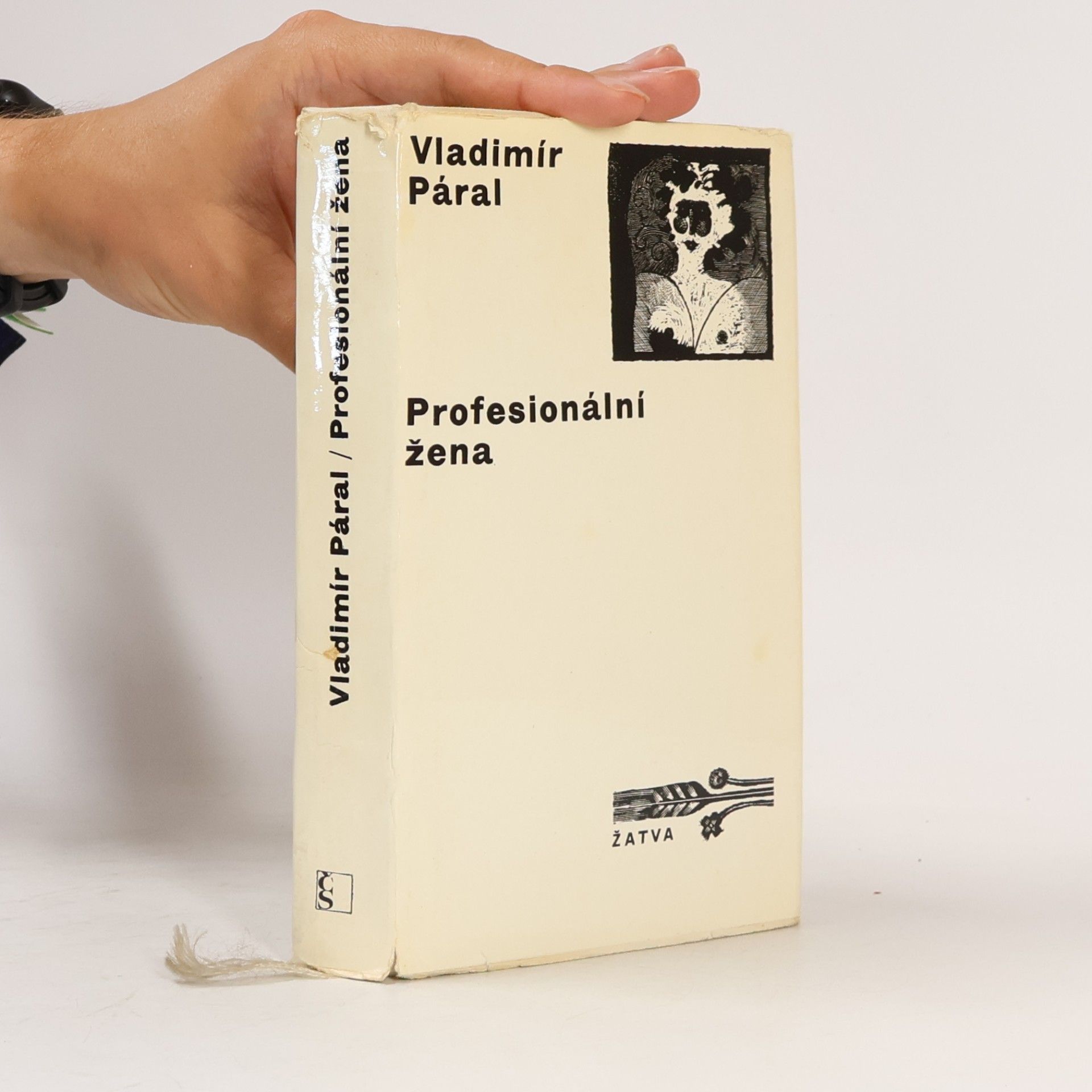Vladimír Páral Profesionální žena