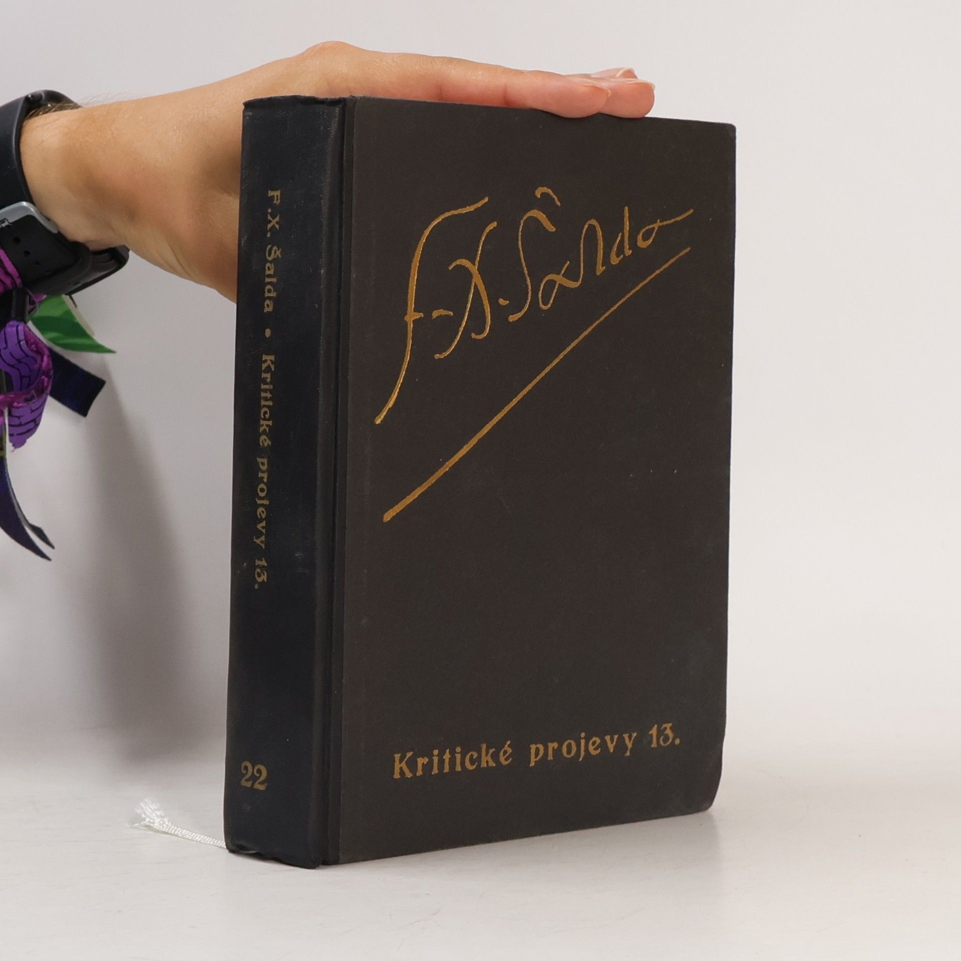 Kritické projevy. 13, 1925-1928