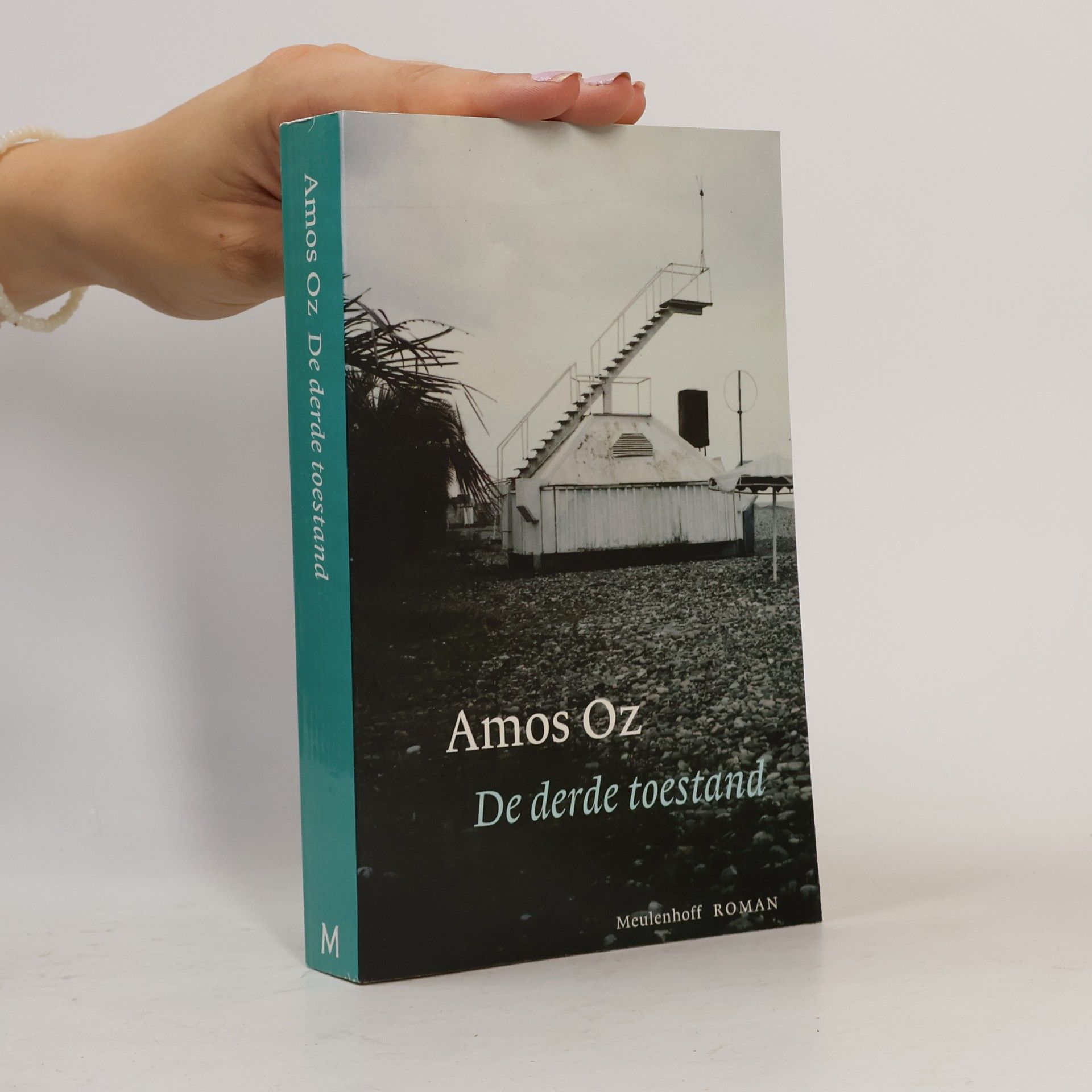 Amos Oz De derde toestand