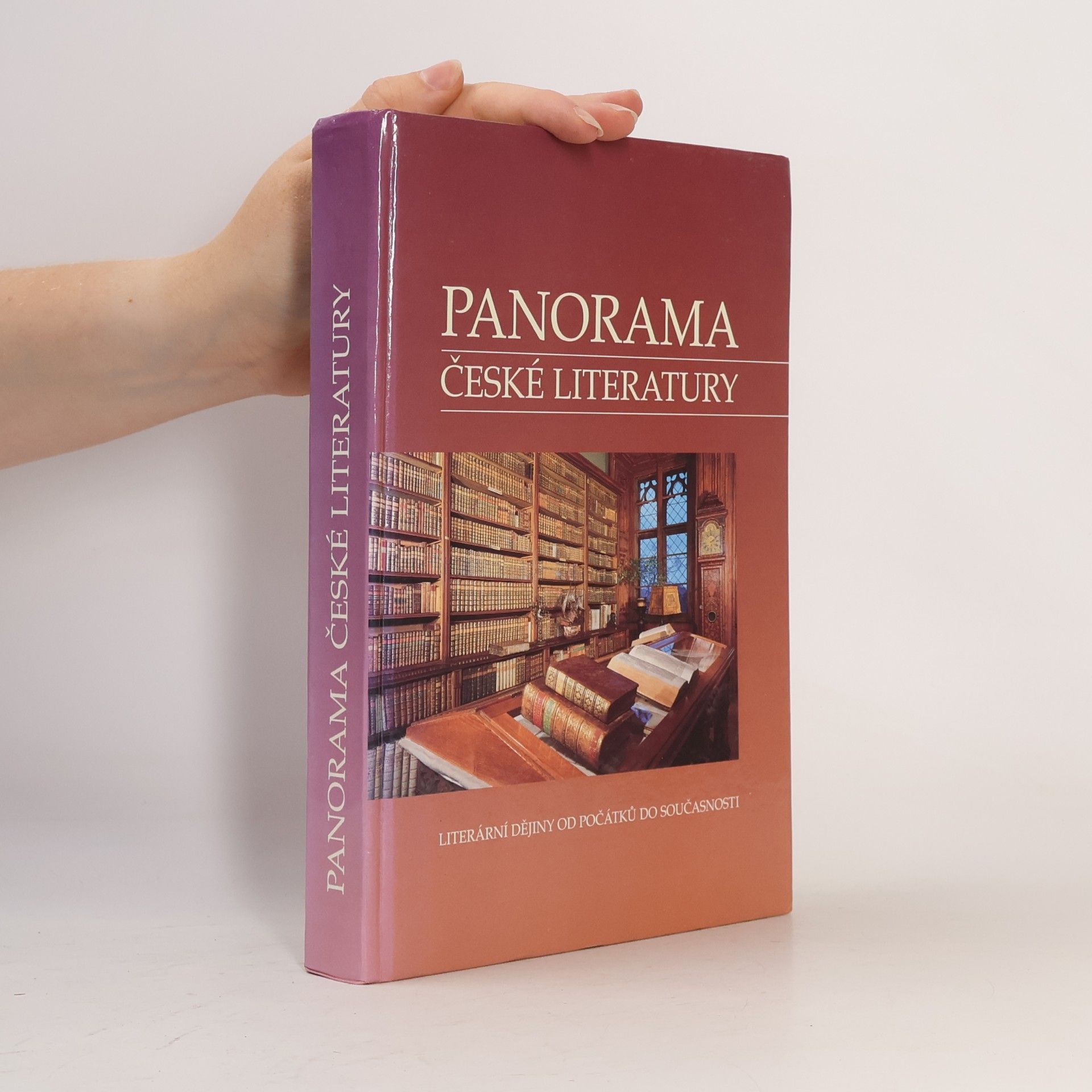 Josef Galík Panorama české literatury. Literární dějiny od počátků do současnosti