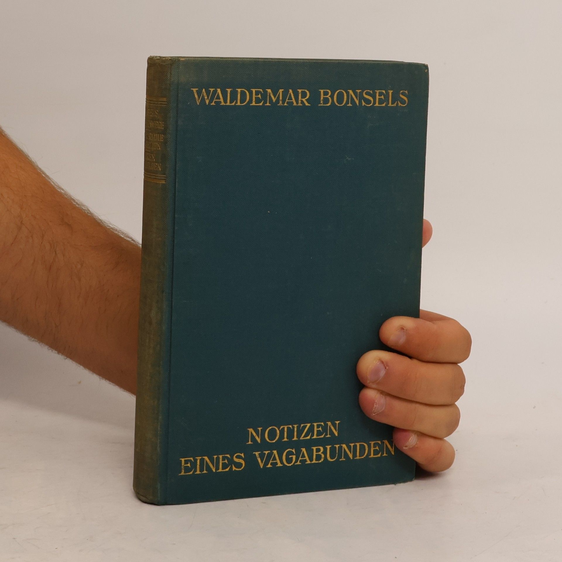 Waldemar Bonsels Notizen eines Vagabunden