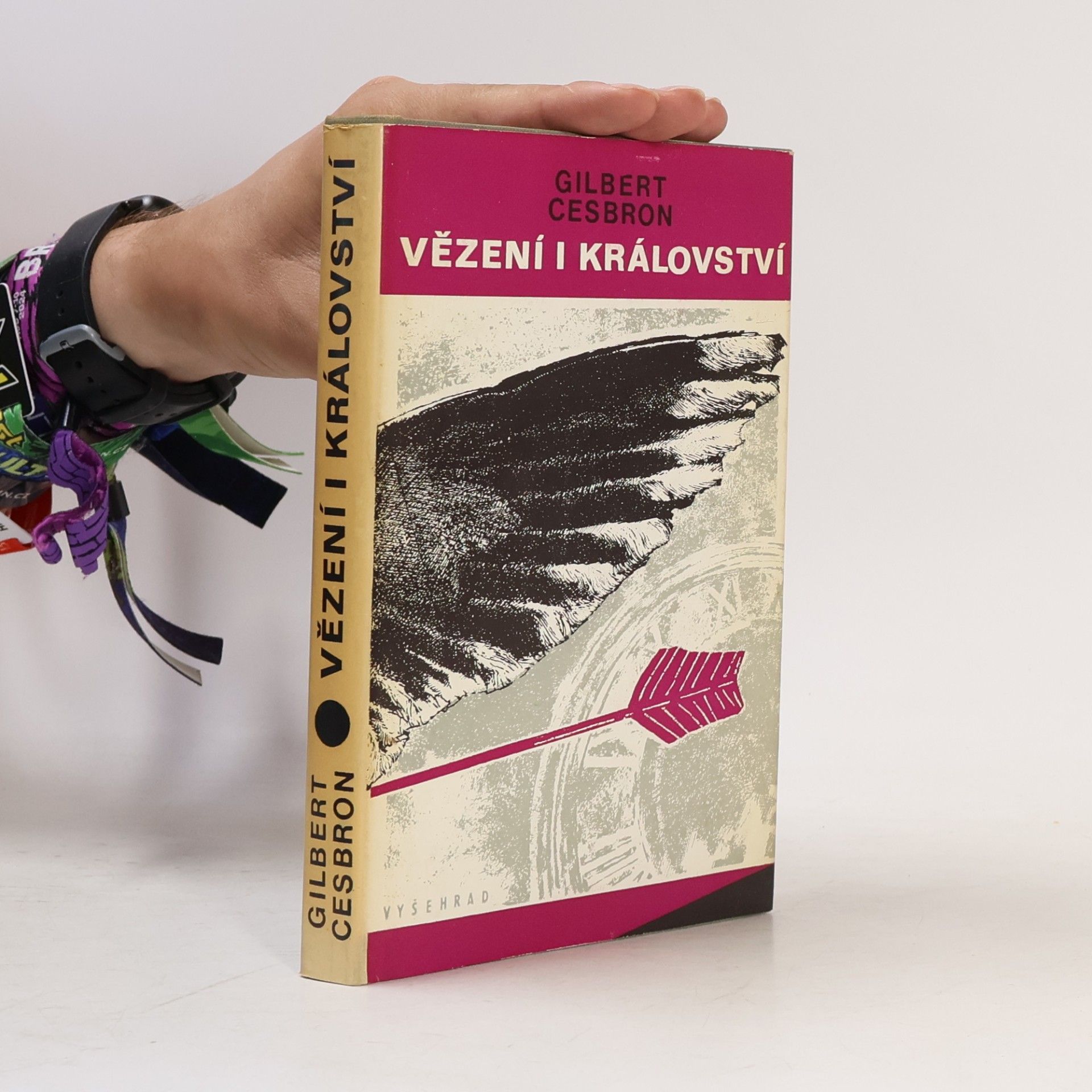 Vězení i království