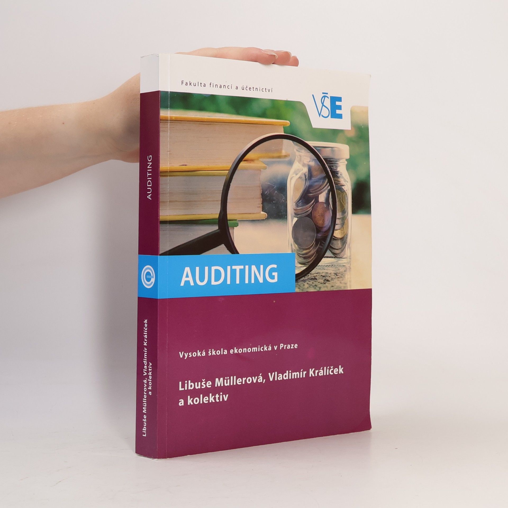 Vladimír Králíček Auditing