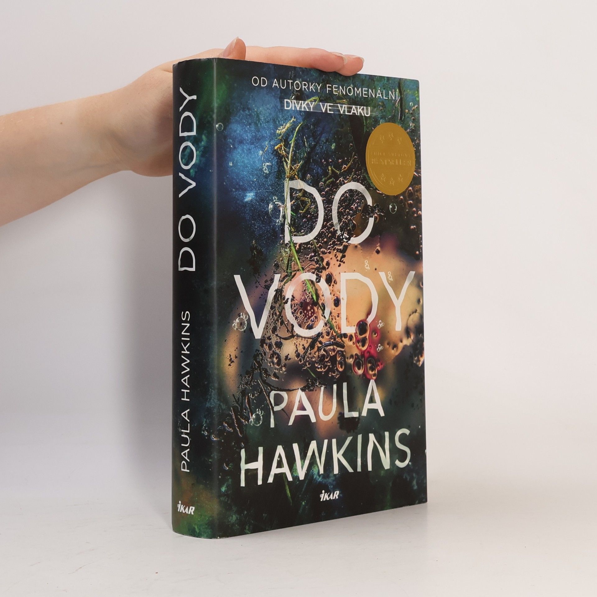 Paula Hawkins Do vody