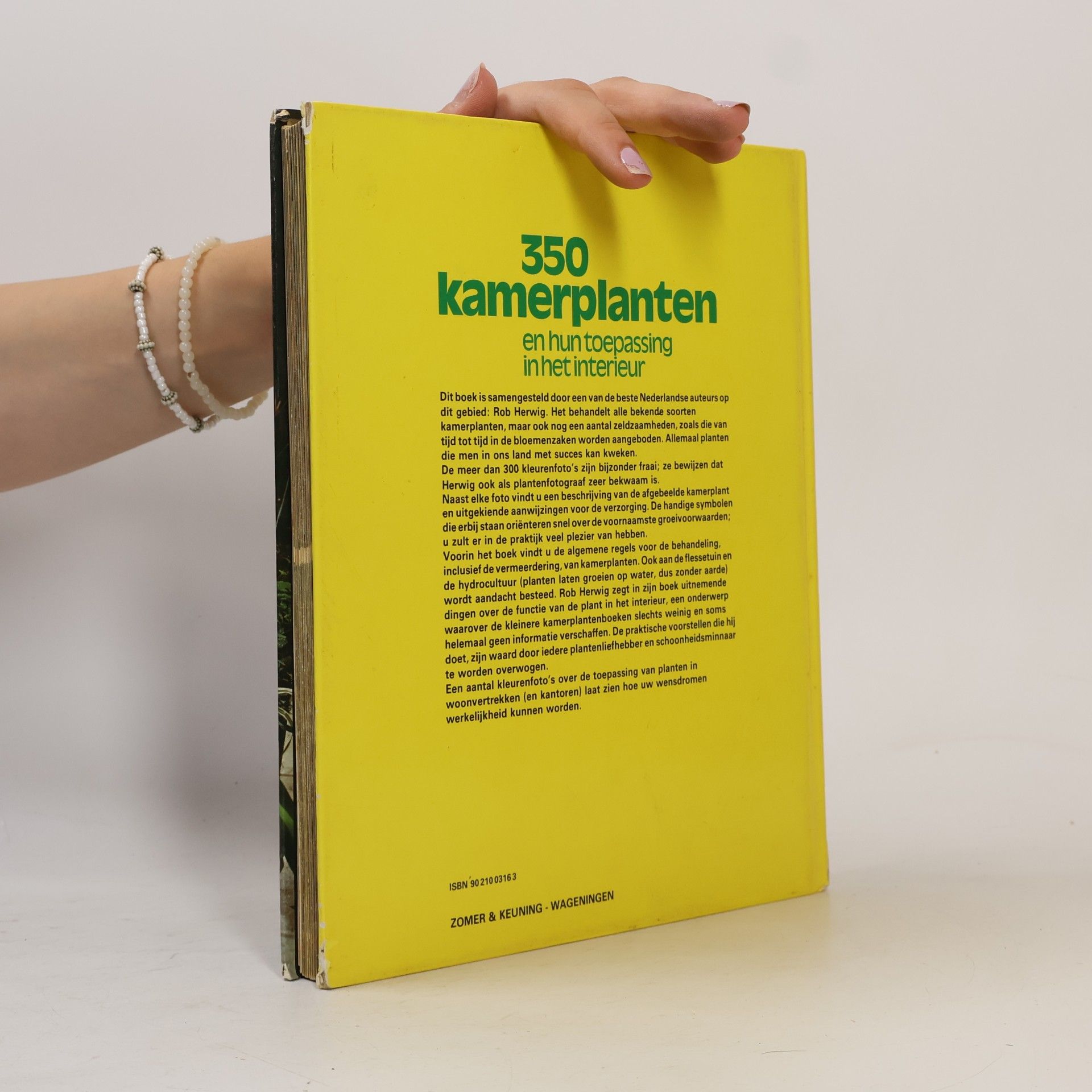 Rob Hewig 350 kamerplanten en hun toepassing in het interieur