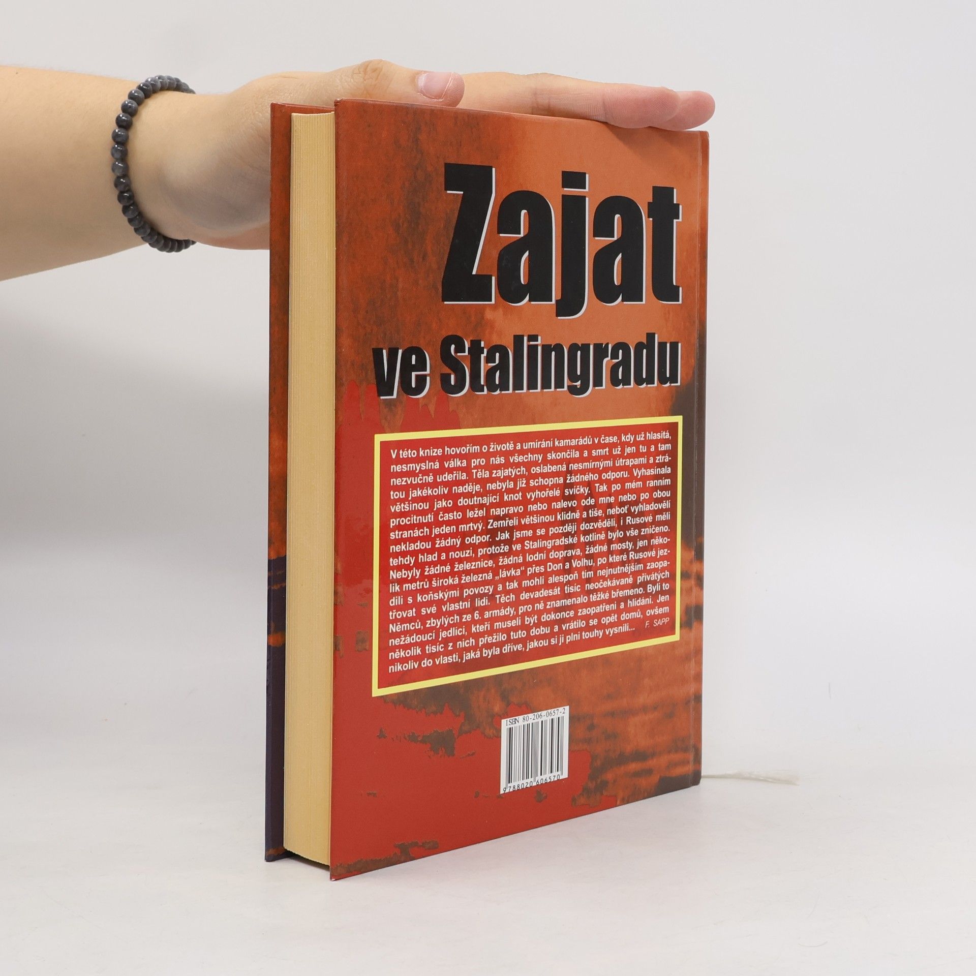 Franz Sapp Zajat ve Stalingradu. Dramatický osud německého vojáka 1943-1946