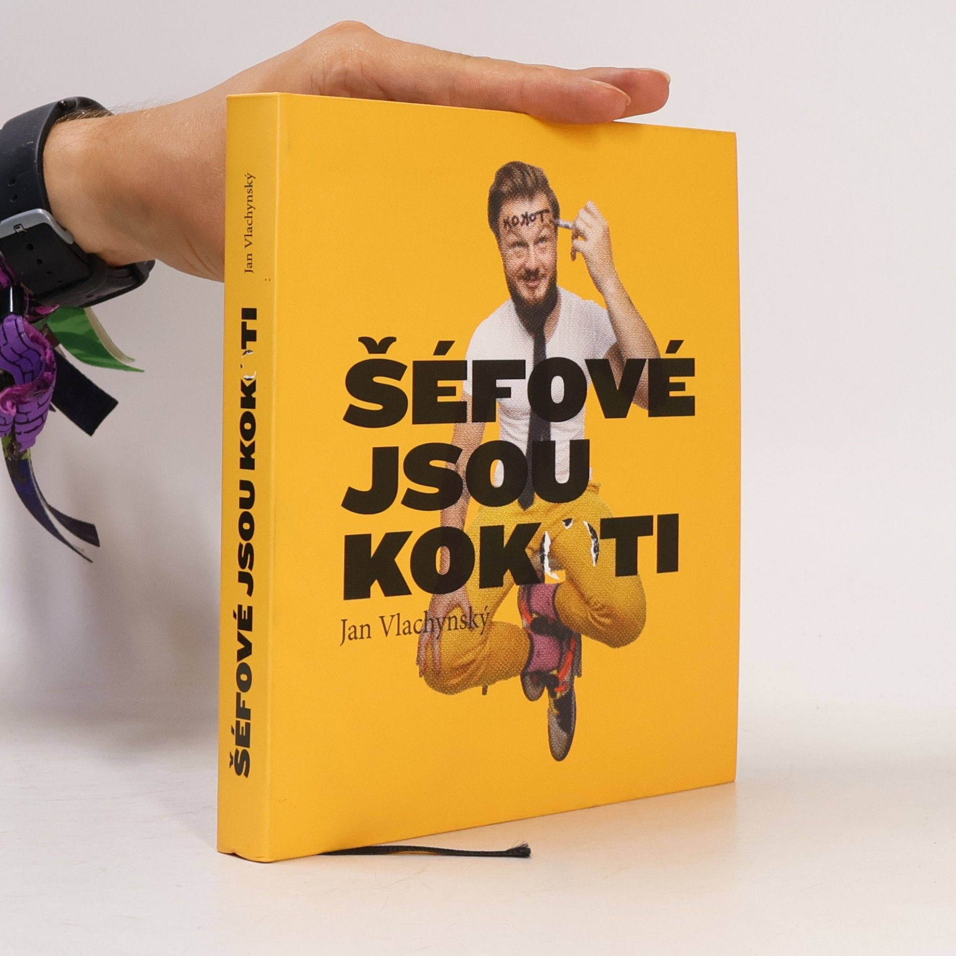 Jan Vlachynský Šéfové jsou kokoti