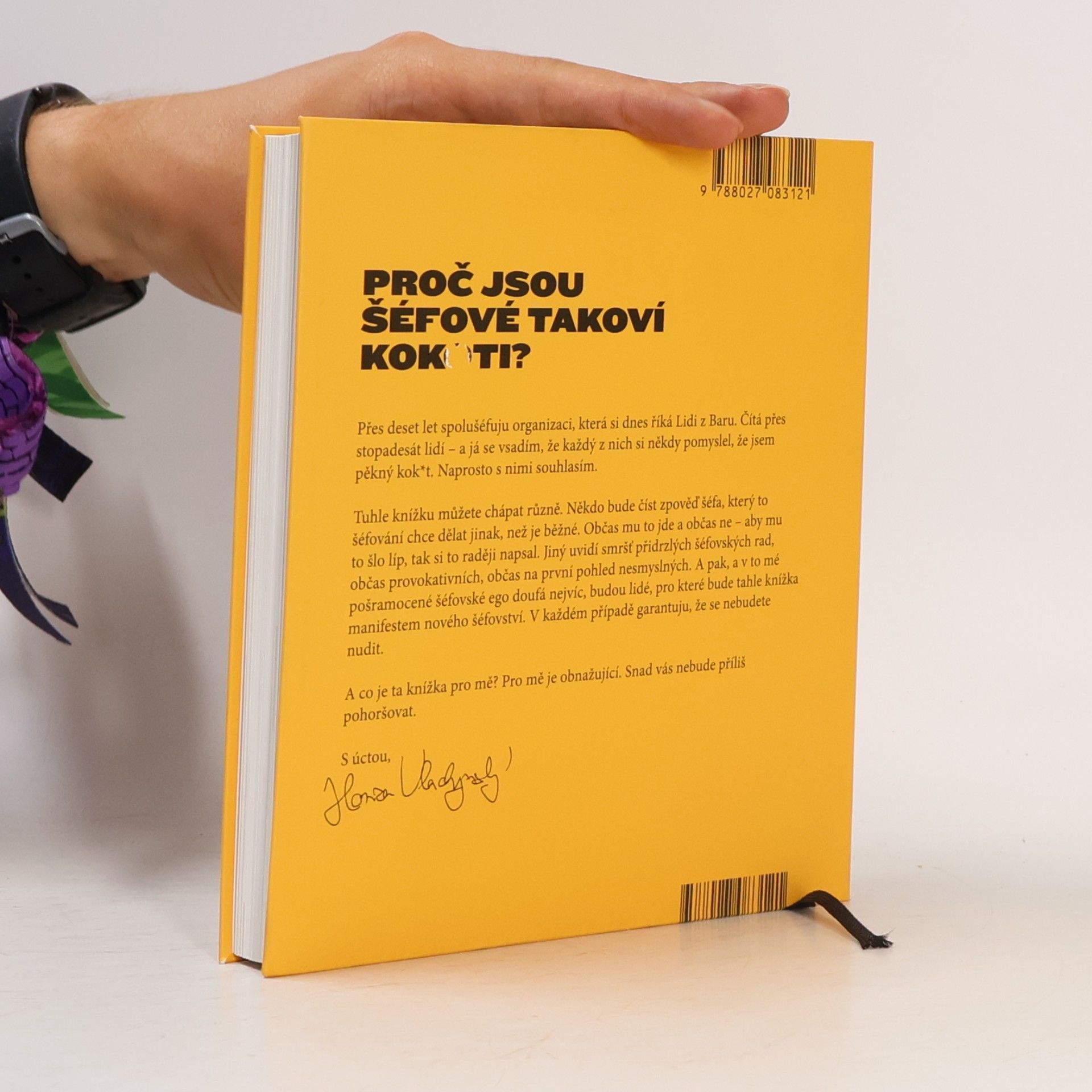 Jan Vlachynský Šéfové jsou kokoti