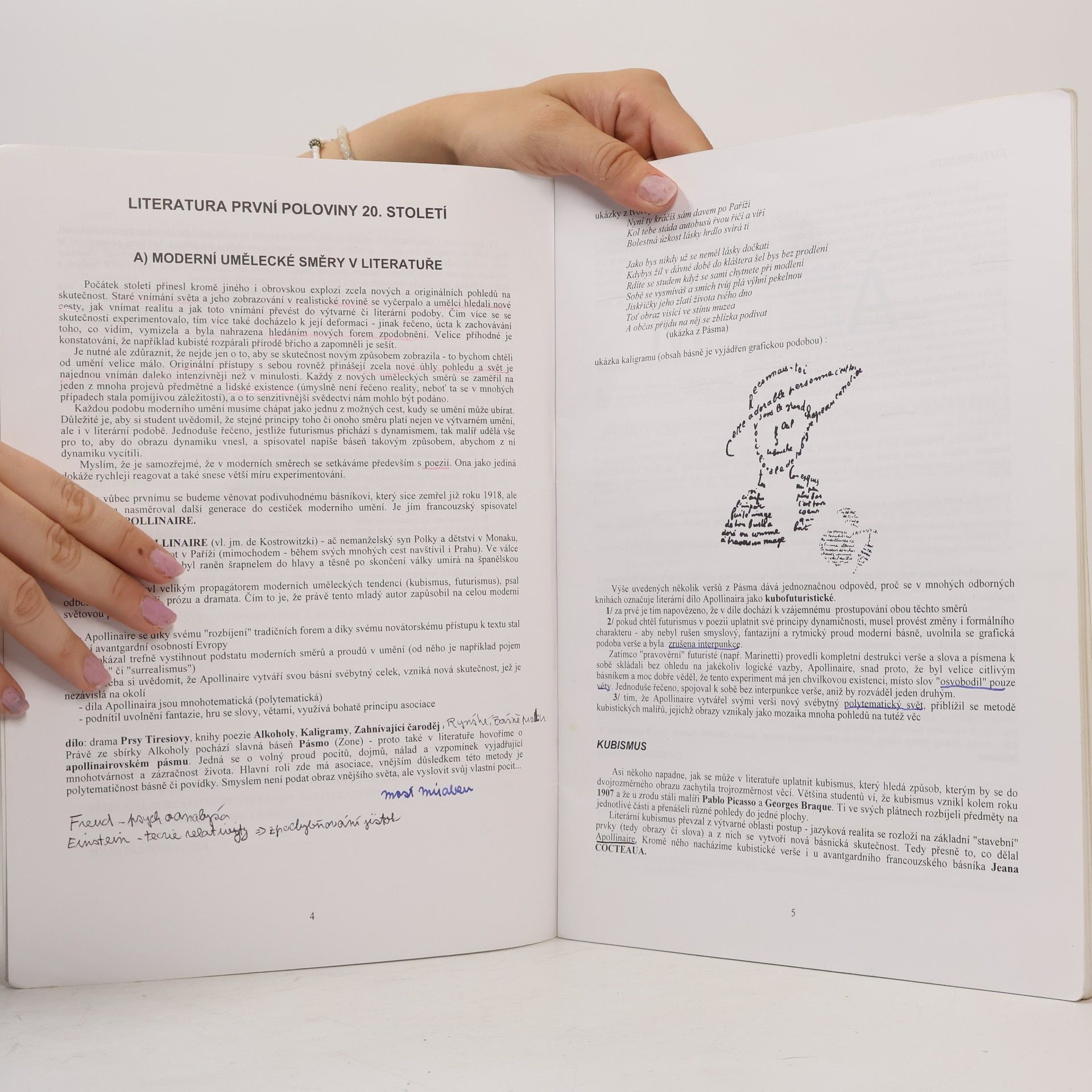 Vladimír Prokop Přehled světové literatury 20. století