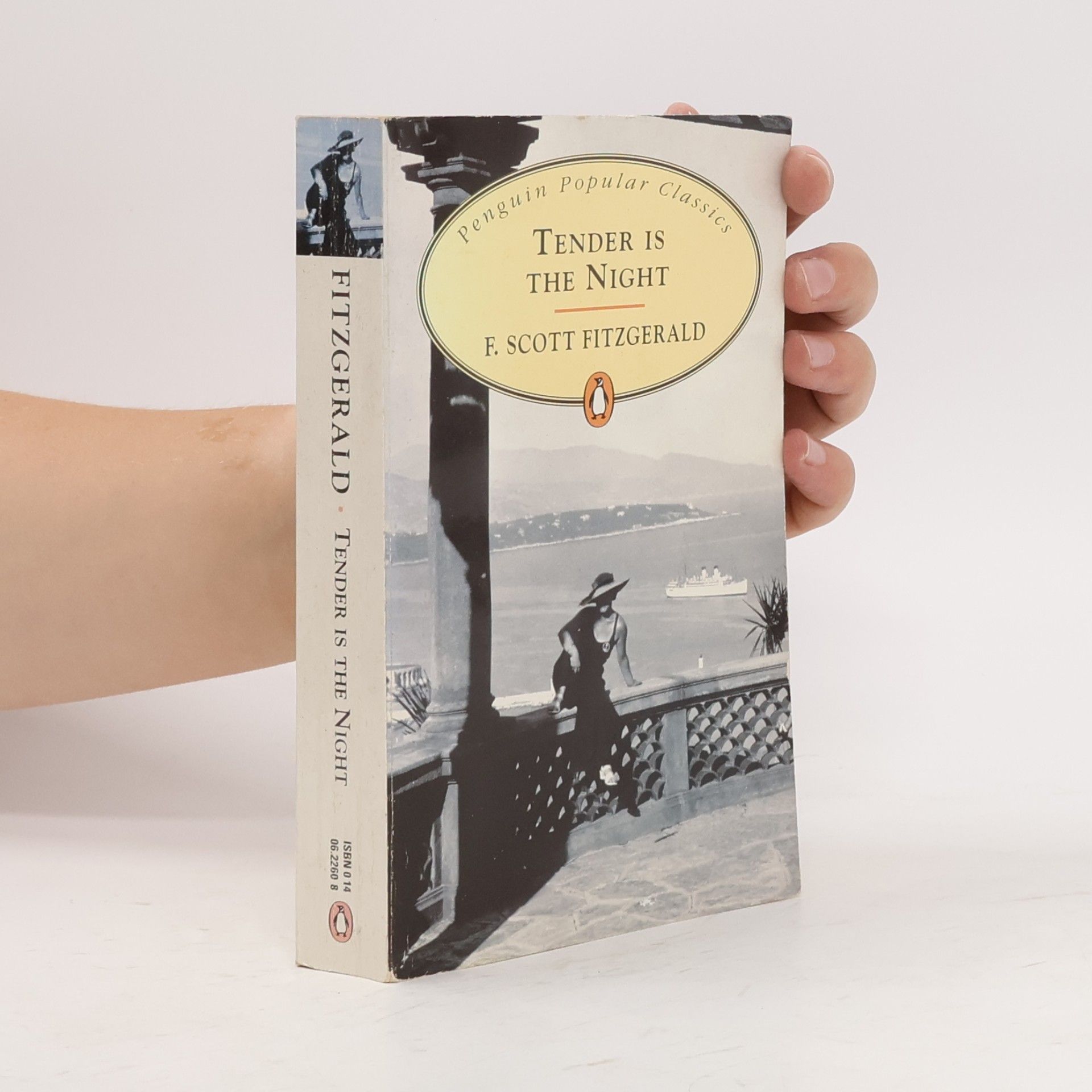 Francis Scott Fitzgerald Tender is the Night