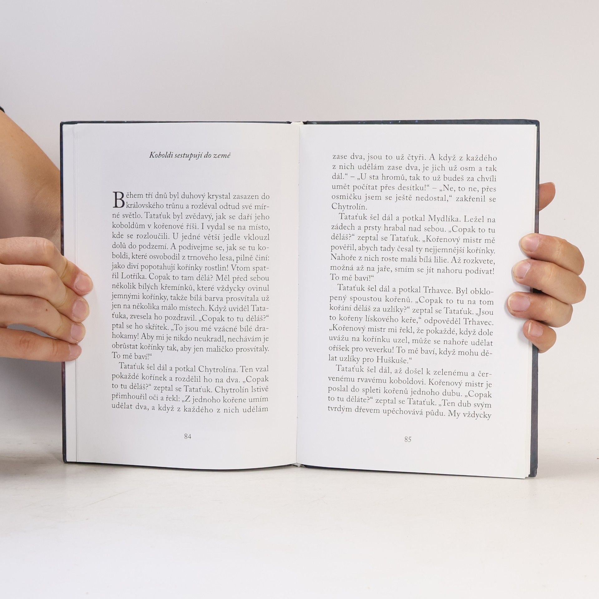 Jakob Streit Tataťukova cesta ke Krystalové hoře