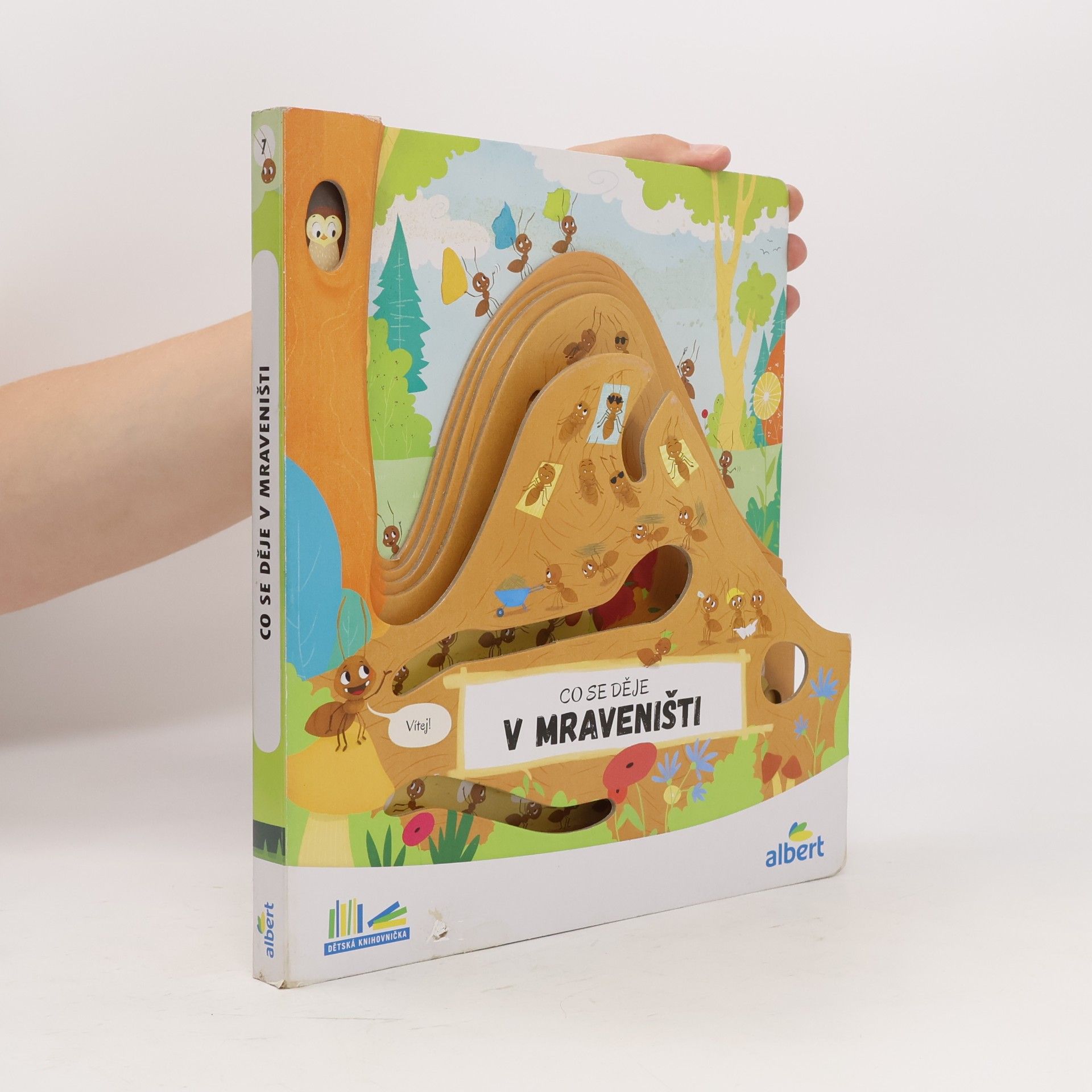 Autorenkollektiv Co se děje v mraveništi
