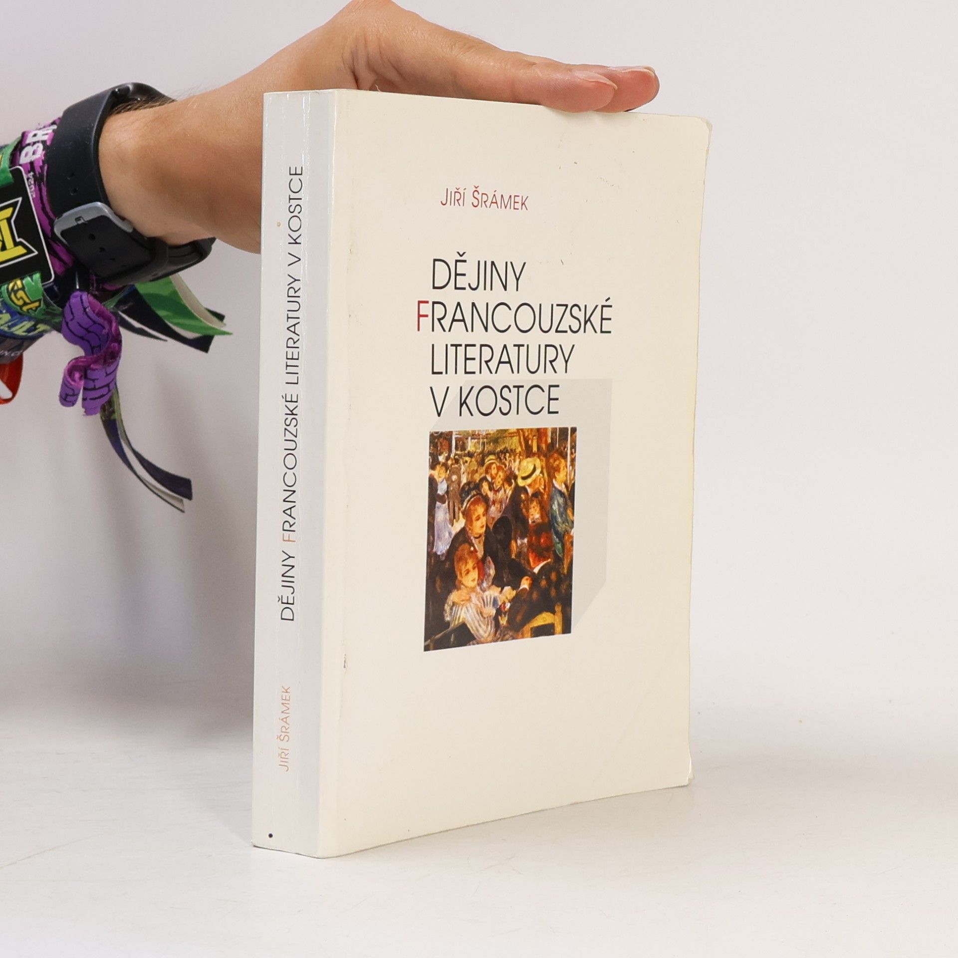 Dějiny francouzské literatury v kostce