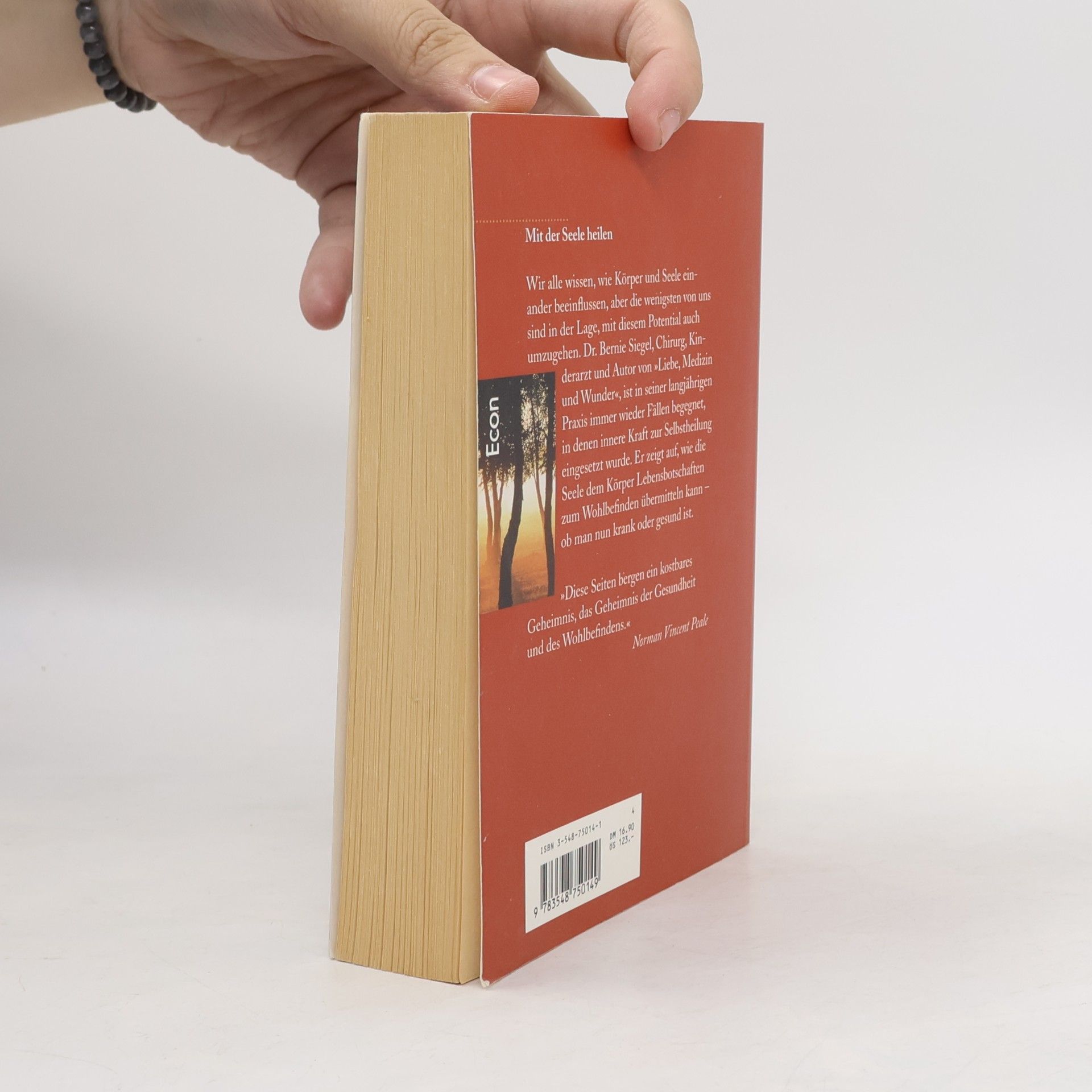Bernie S. Siegel Mit der Seele heilen