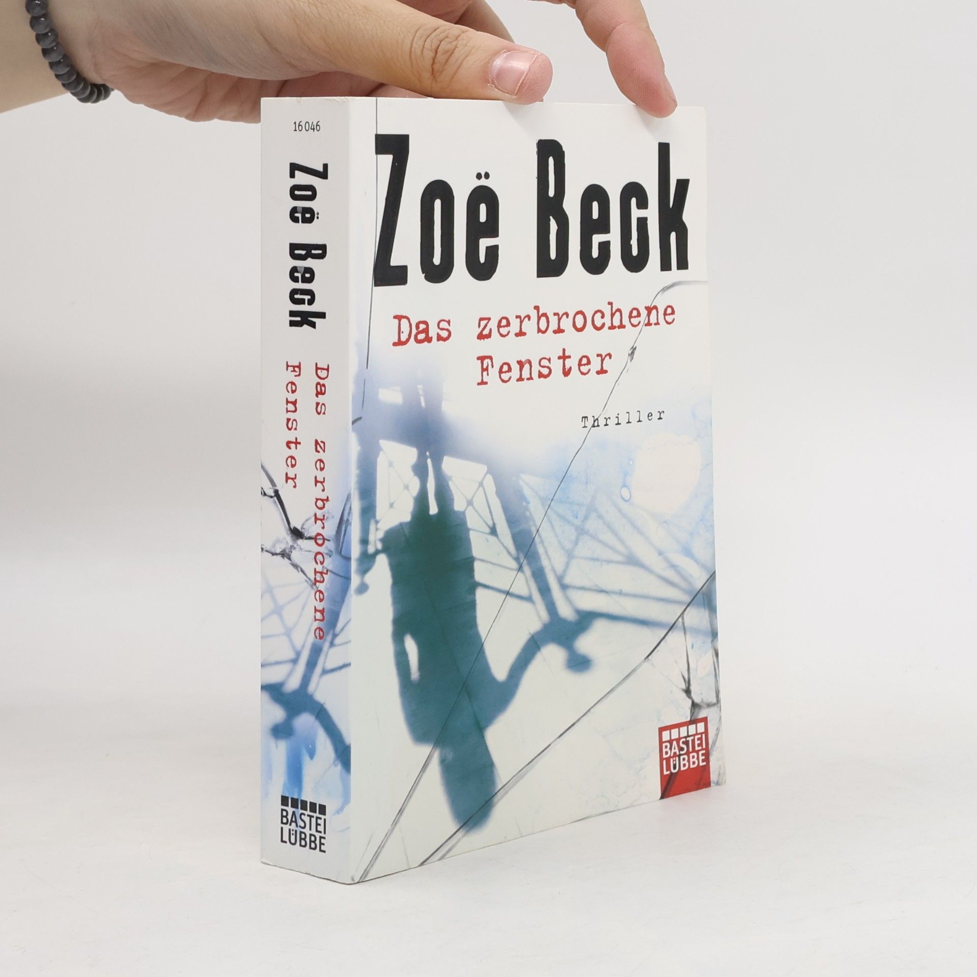 Zoë Beck Das zerbrochene Fenster