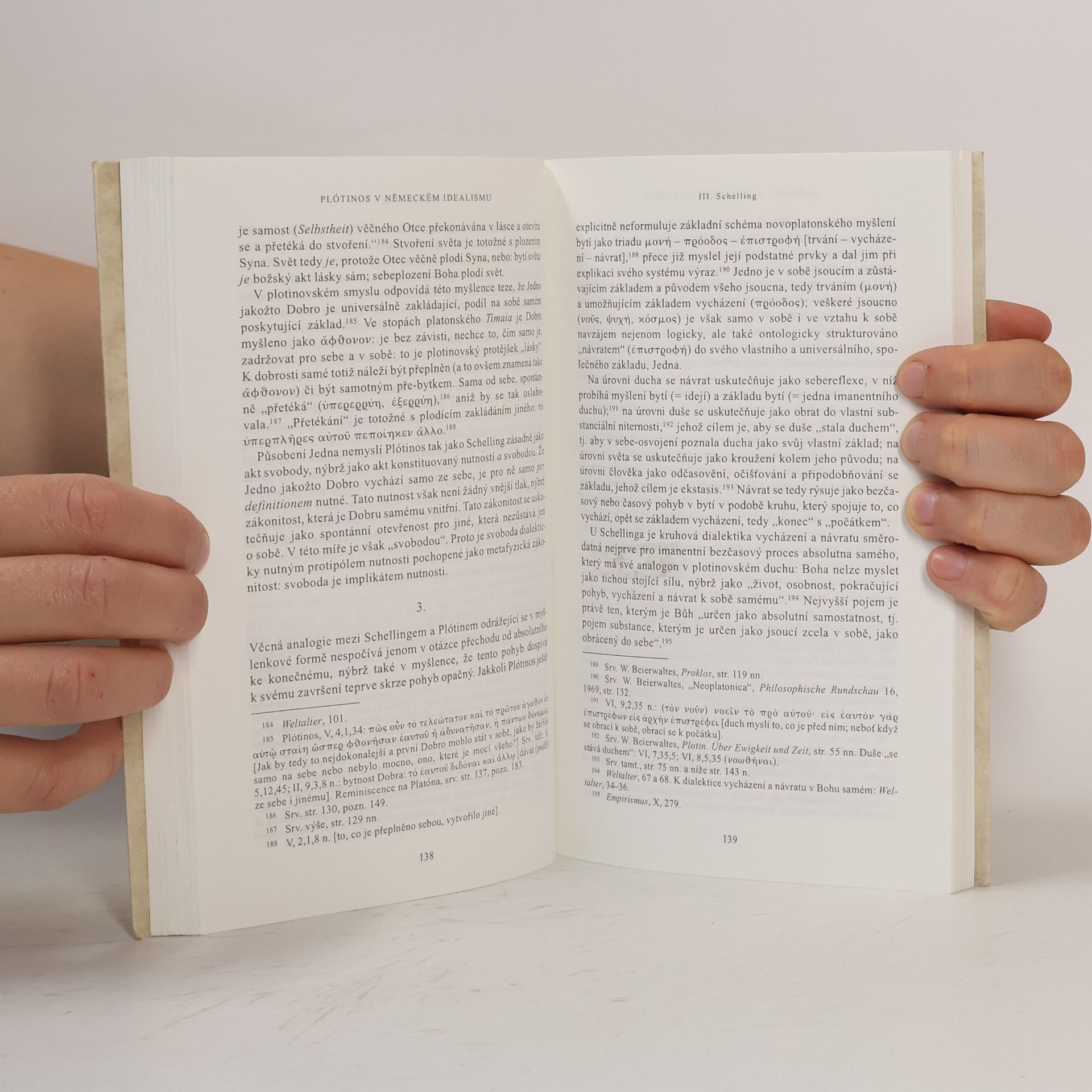 Werner Beierwaltes Platonismus a idealismus
