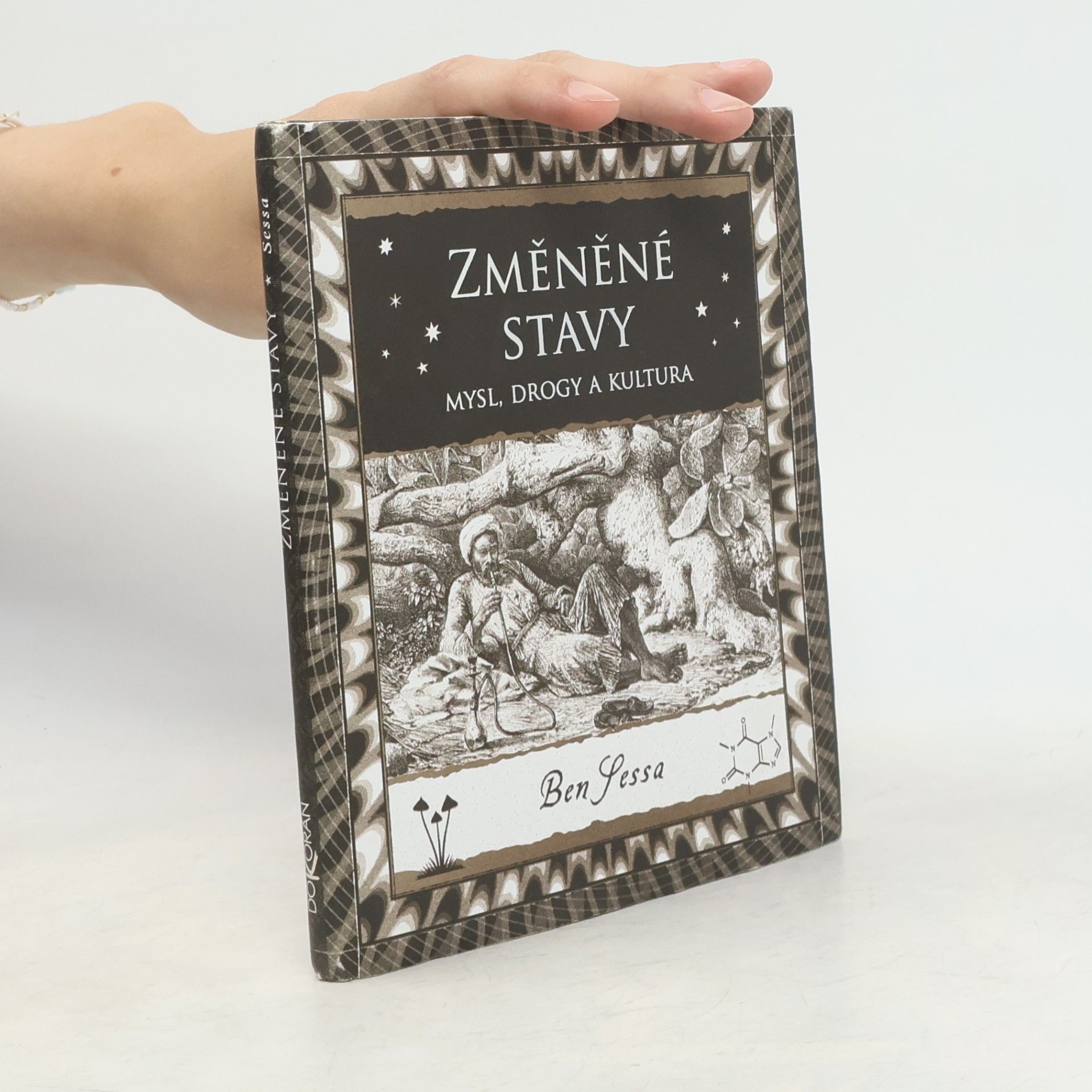 Ben Sessa Změněné stavy : mysl, drogy a kultura