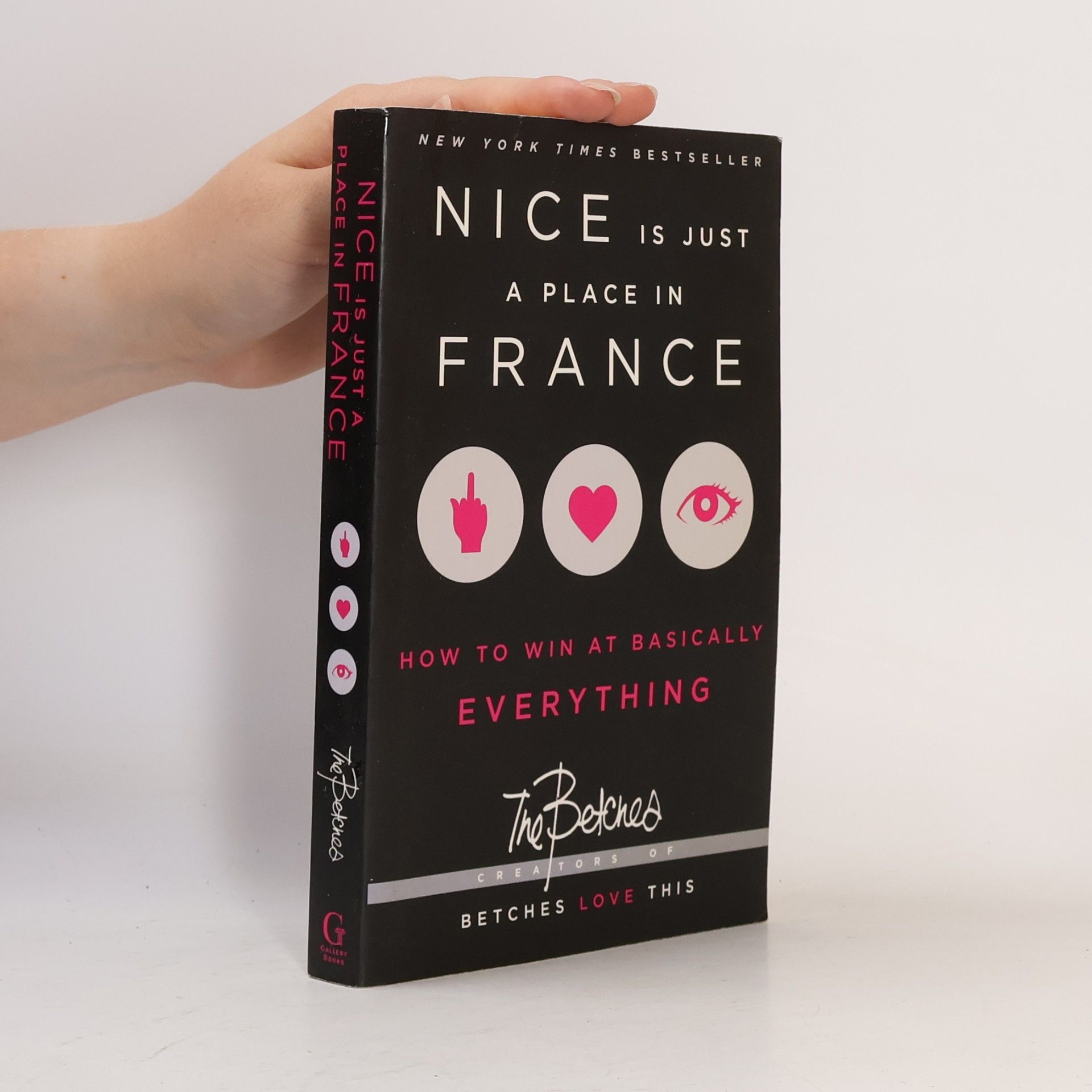 Autorenkollektiv Nice is just a place in France : how to win at basically everything