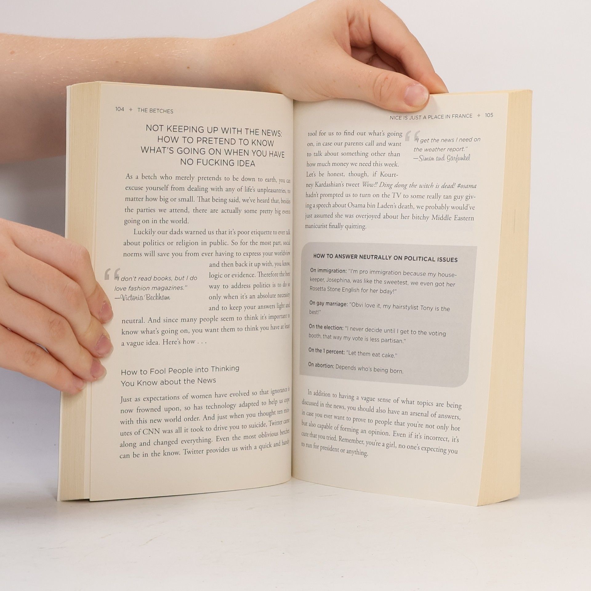 Collectif d'auteurs Nice is just a place in France : how to win at basically everything
