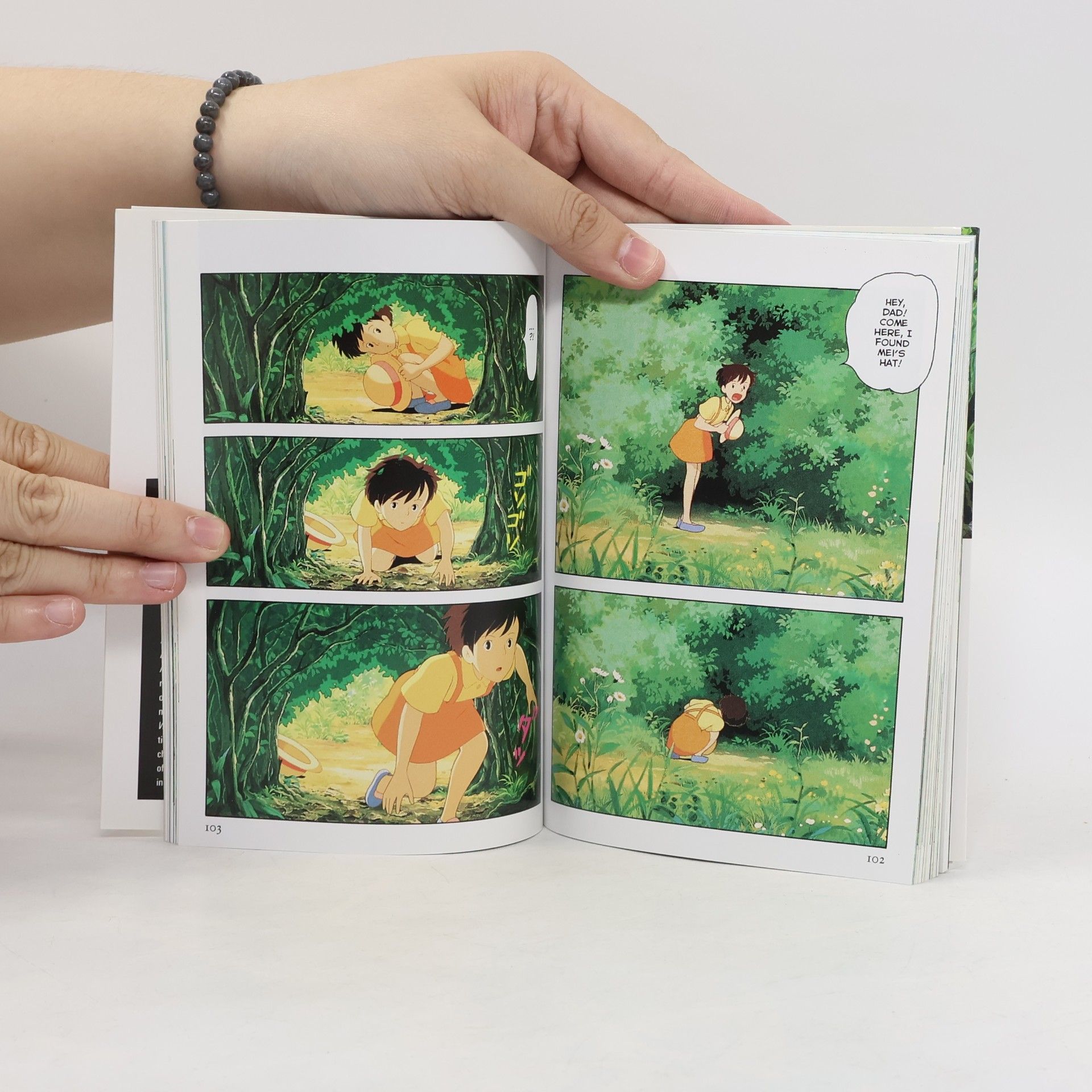 Hayao Miyazaki My Neighbor Totoro Film Comic 2