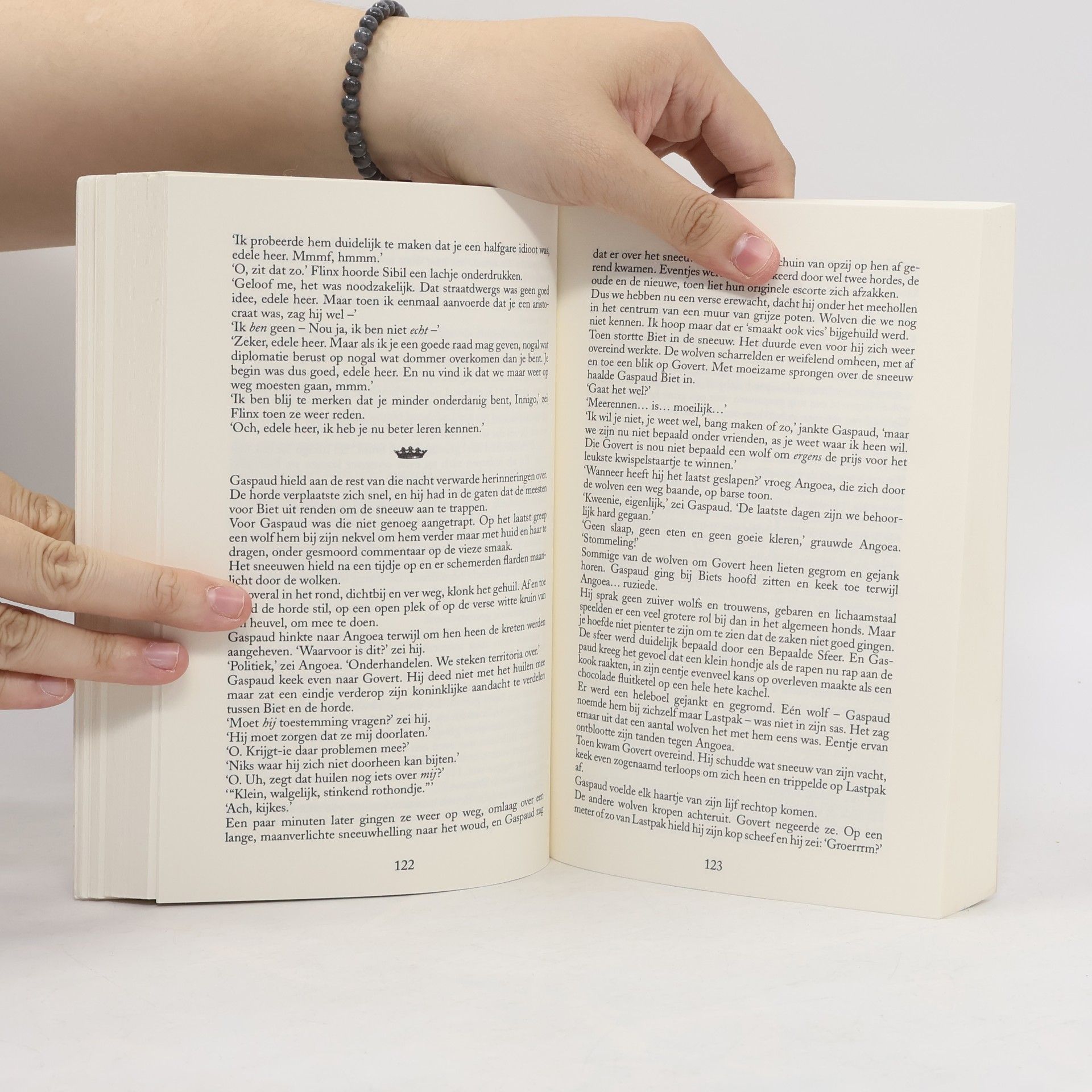 Terry Pratchett Schijfwereld-romanserie - 24: De Vijfde Olifant