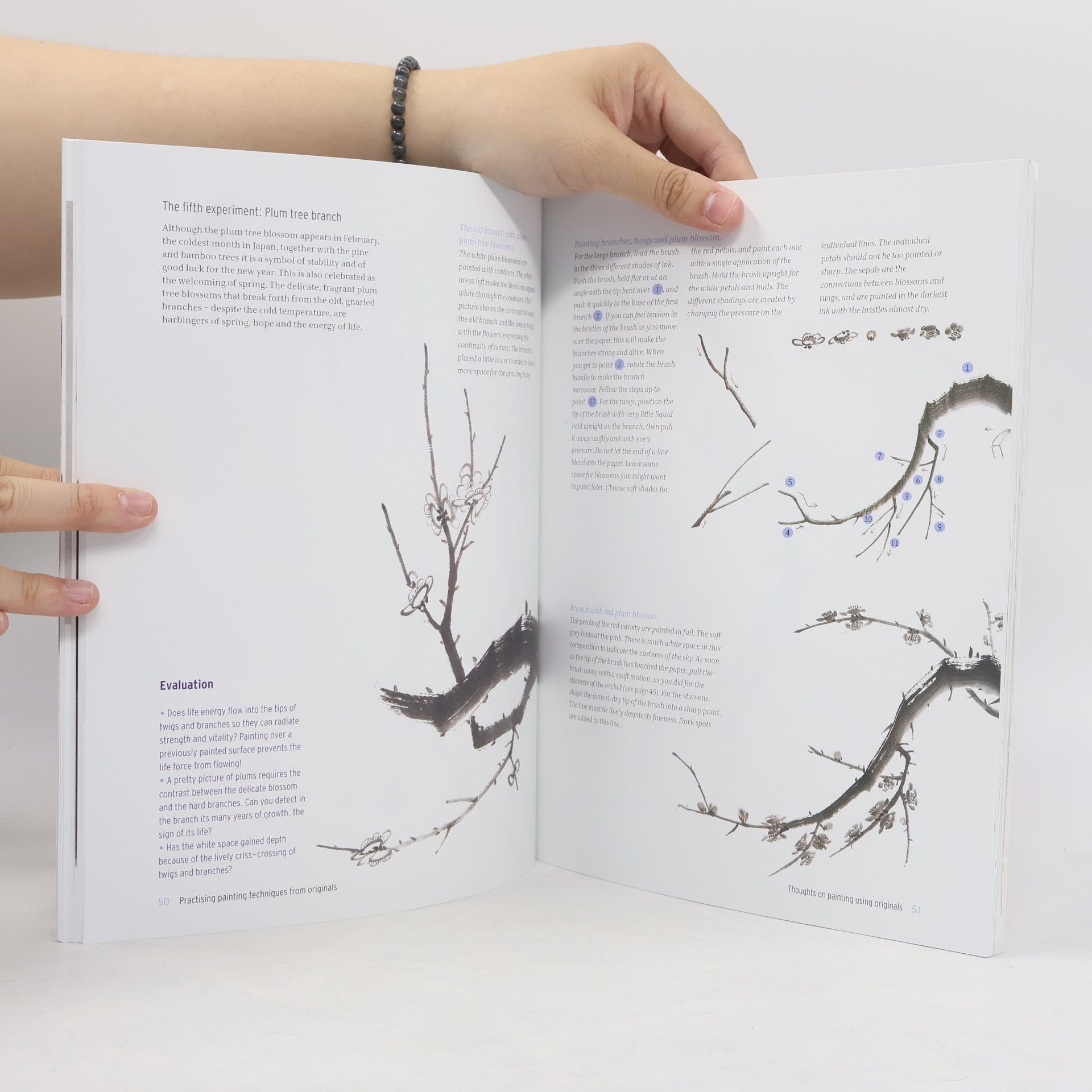 Okamoto Naomi The Art of Sumi-e