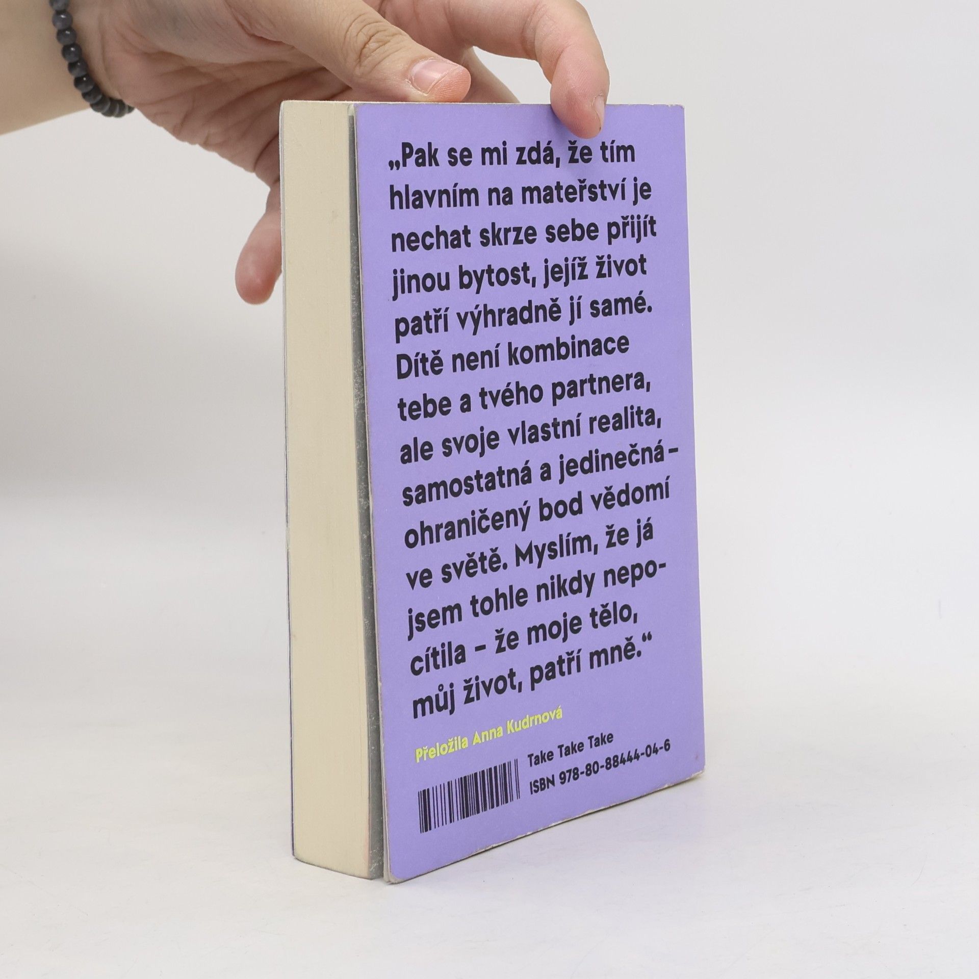 Sheila Heti Mateřství