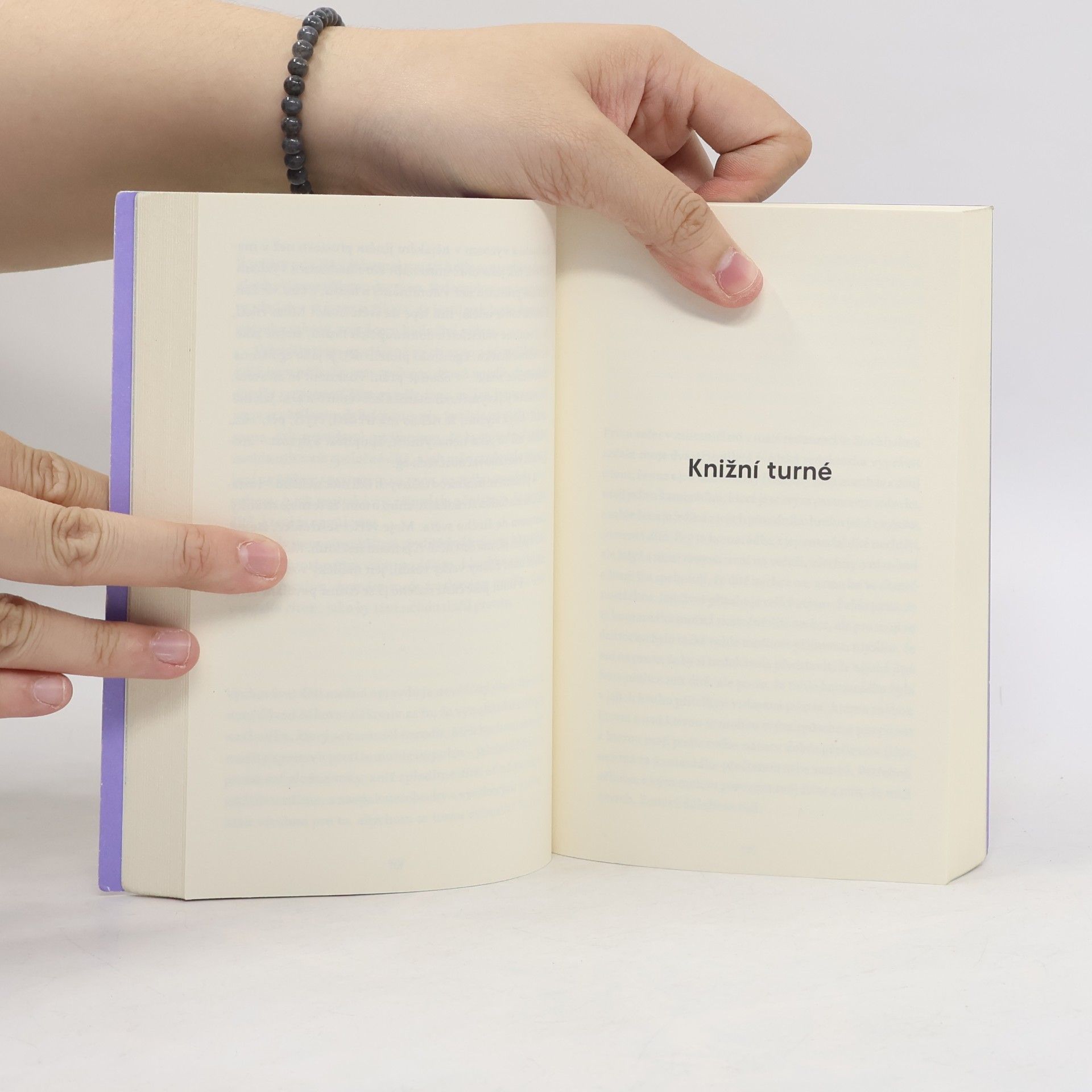 Sheila Heti Mateřství