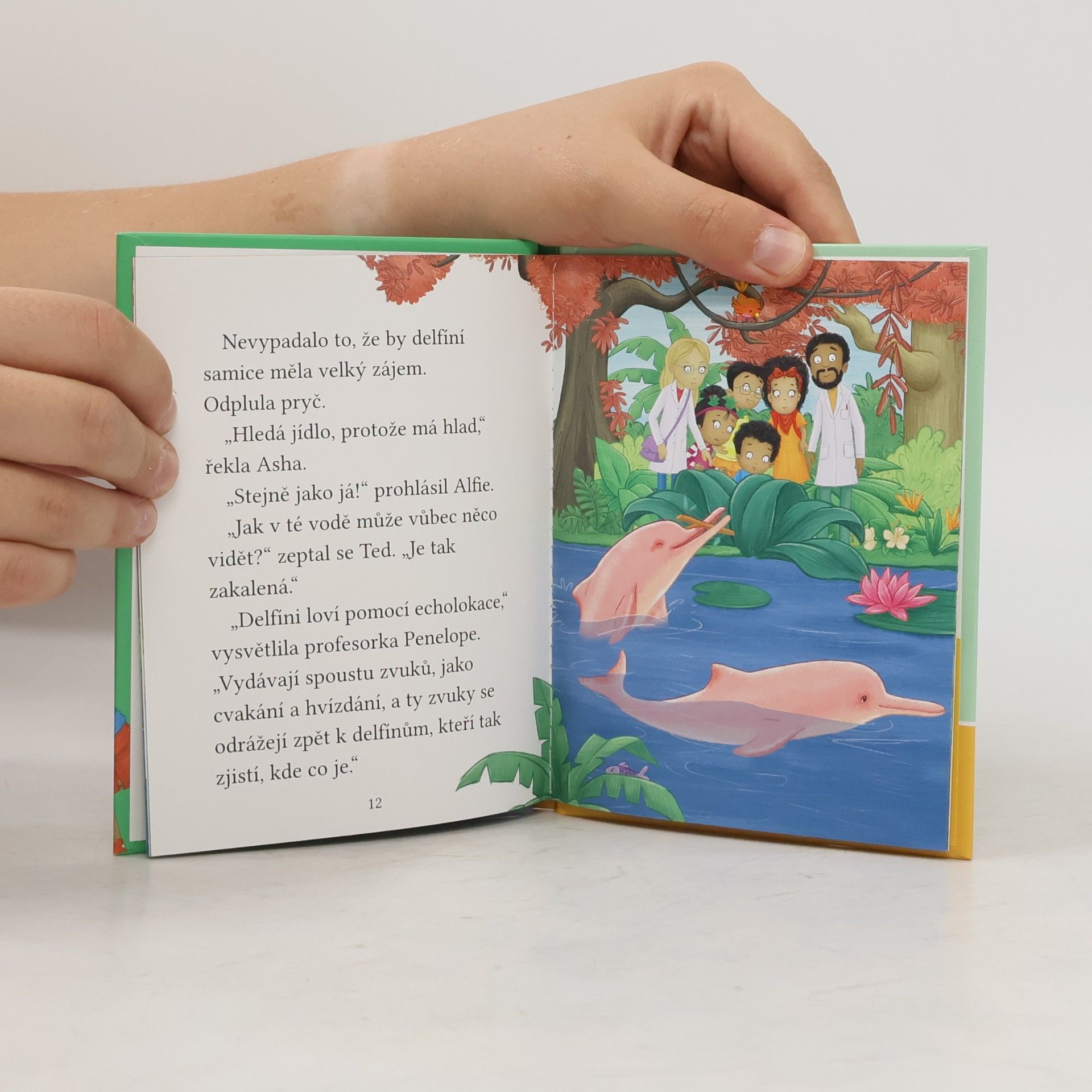 Cressida Cowell Stromovic dvojčata a jejich dobrodružství v divočině