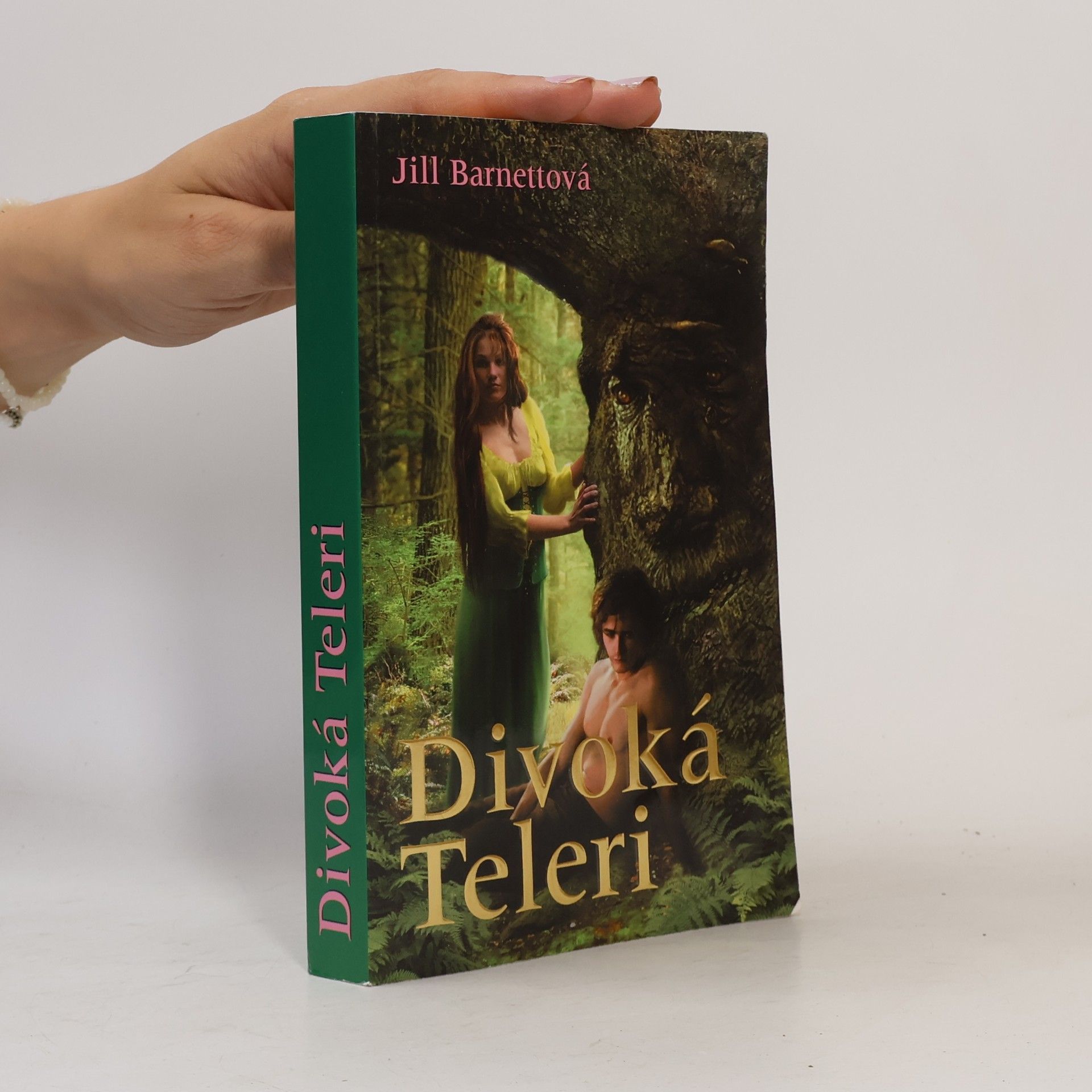 Jill Barnett Divoká Teleri
