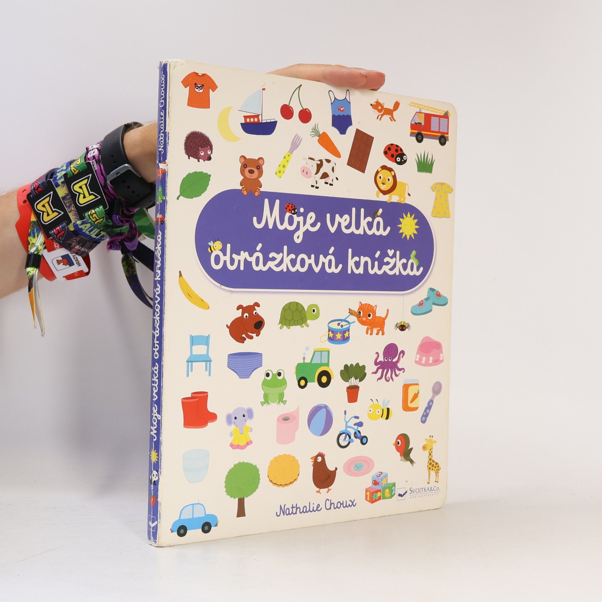 Nathalie Choux Moje velká obrázková knížka