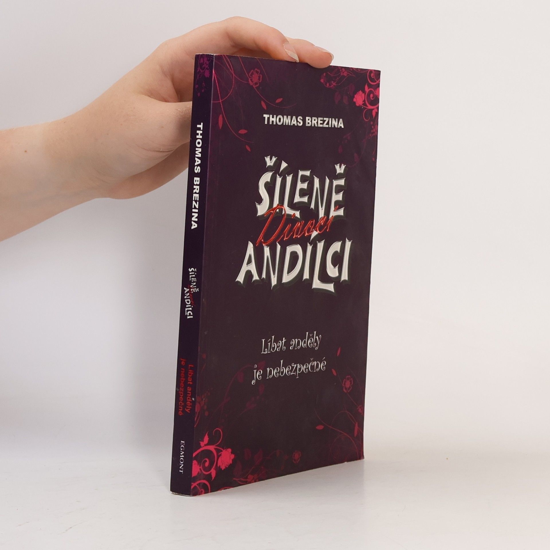 Thomas Brezina Šíleně divocí andílci. Líbat anděly je nebezpečné