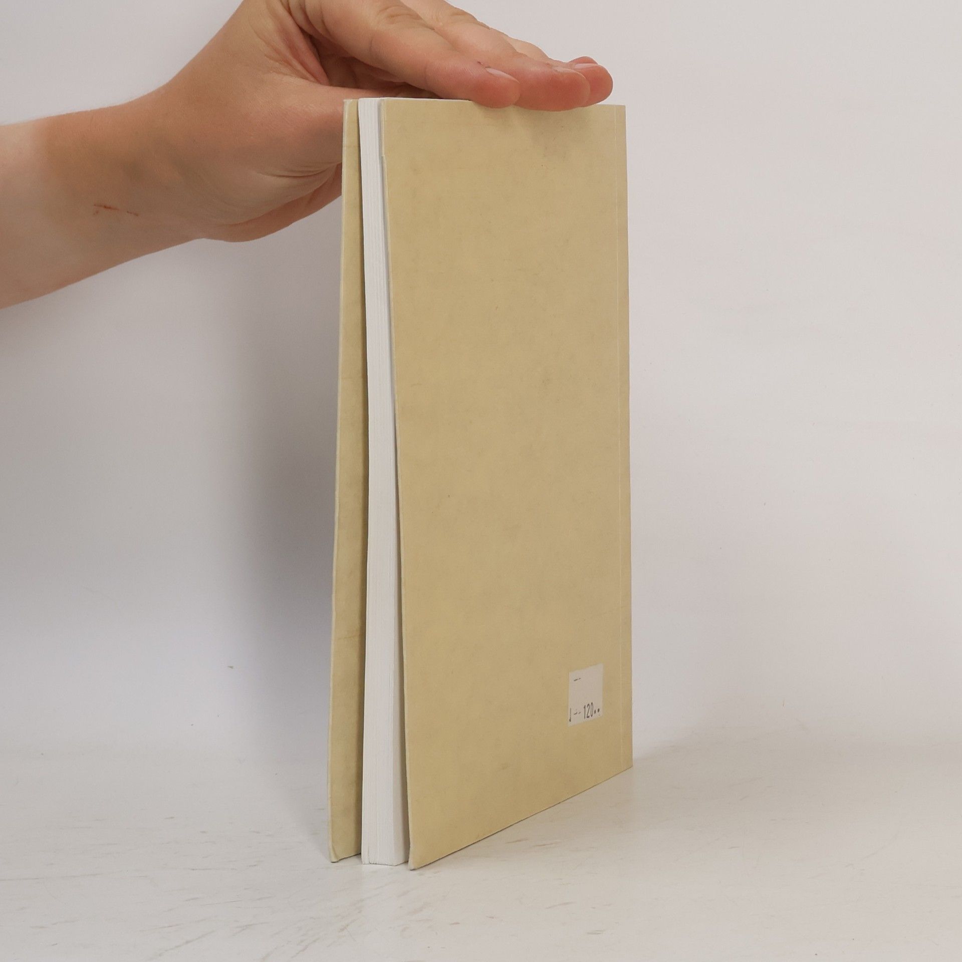 Jiří Prosecký Prameny moudrosti. Mudroslovná literatura staré Mezopotámie
