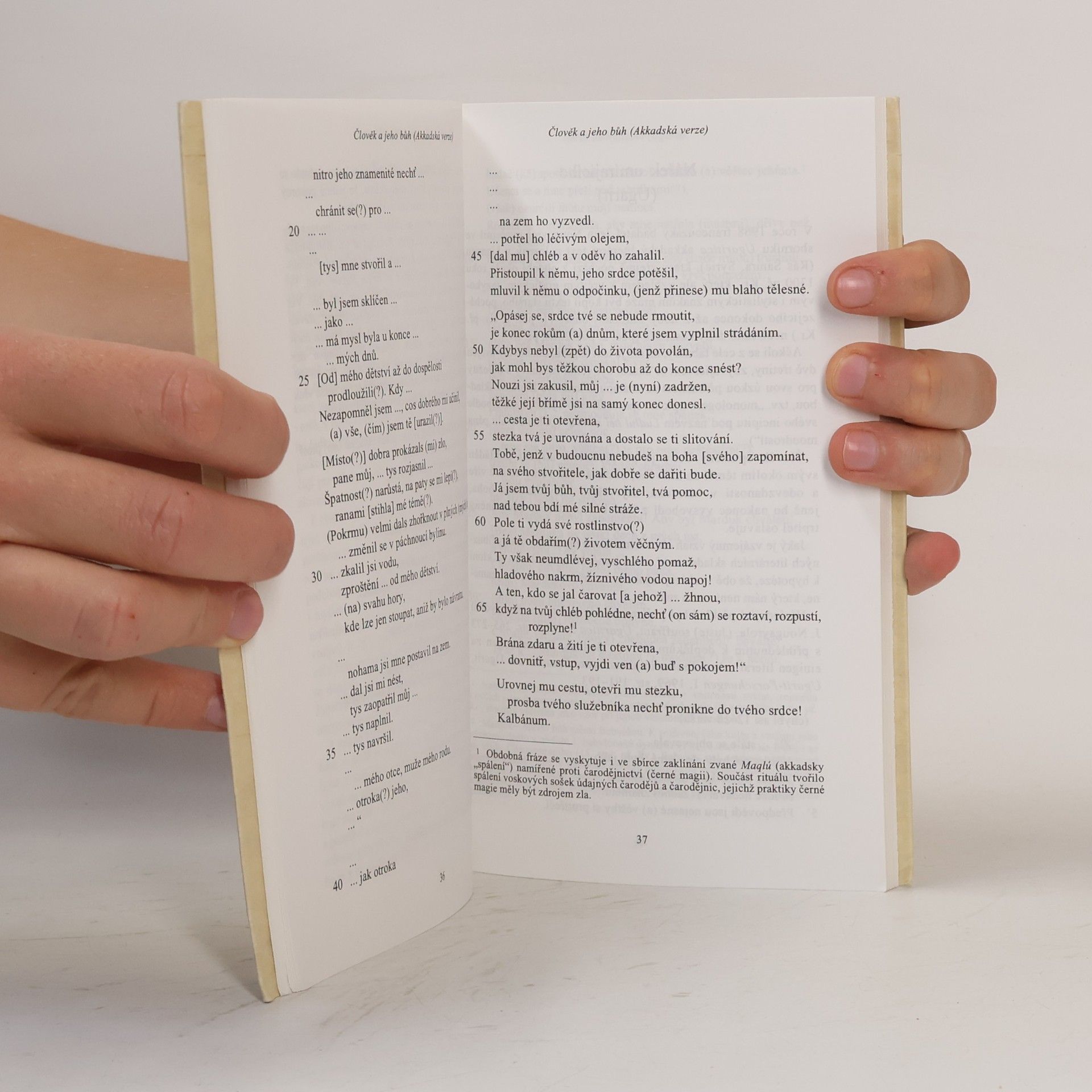 Jiří Prosecký Prameny moudrosti. Mudroslovná literatura staré Mezopotámie