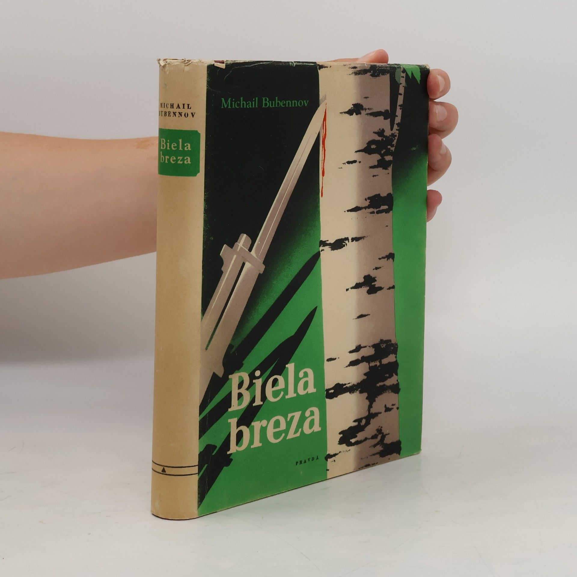 Michail Bubennov Biela breza