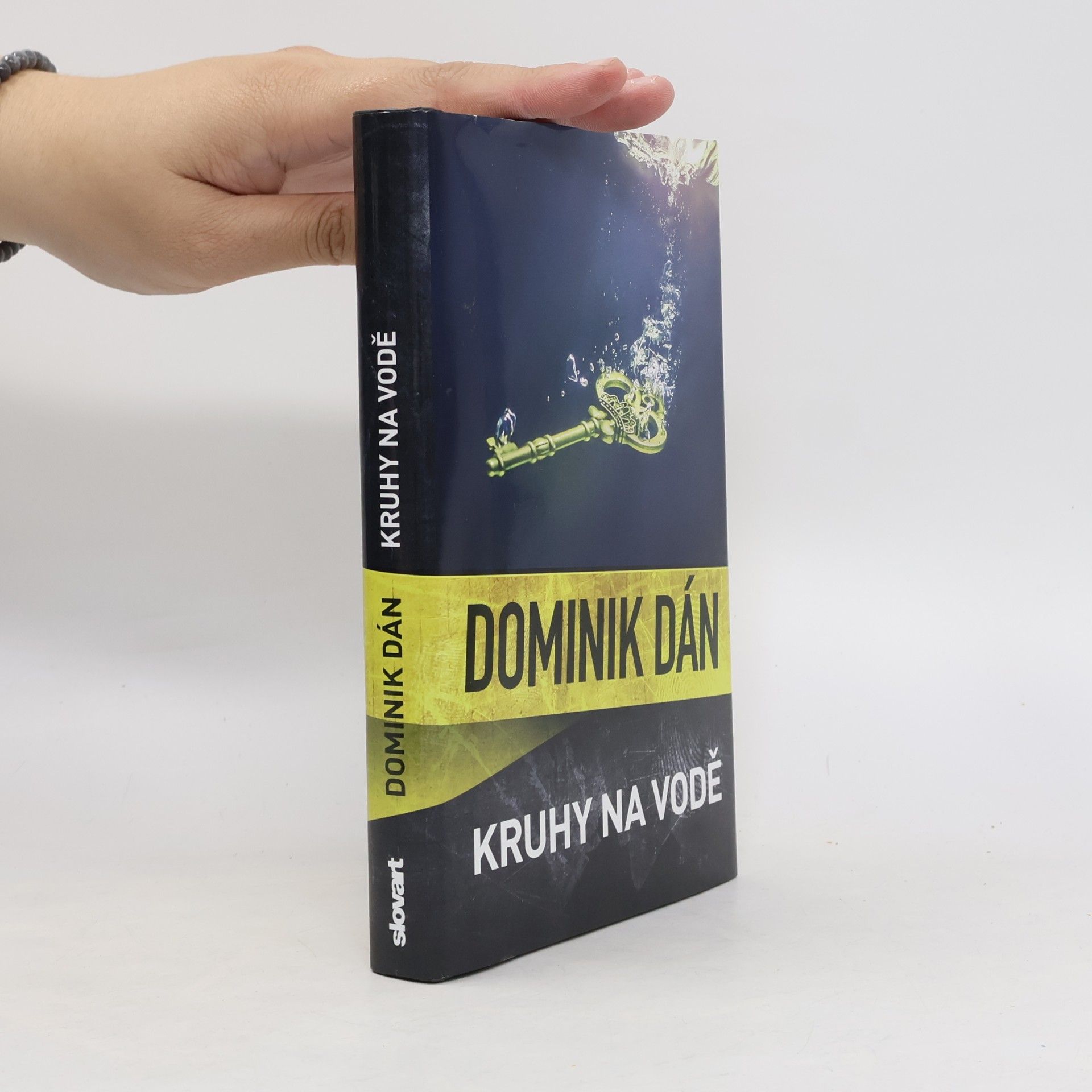 Dominik Dán Kruhy na vodě
