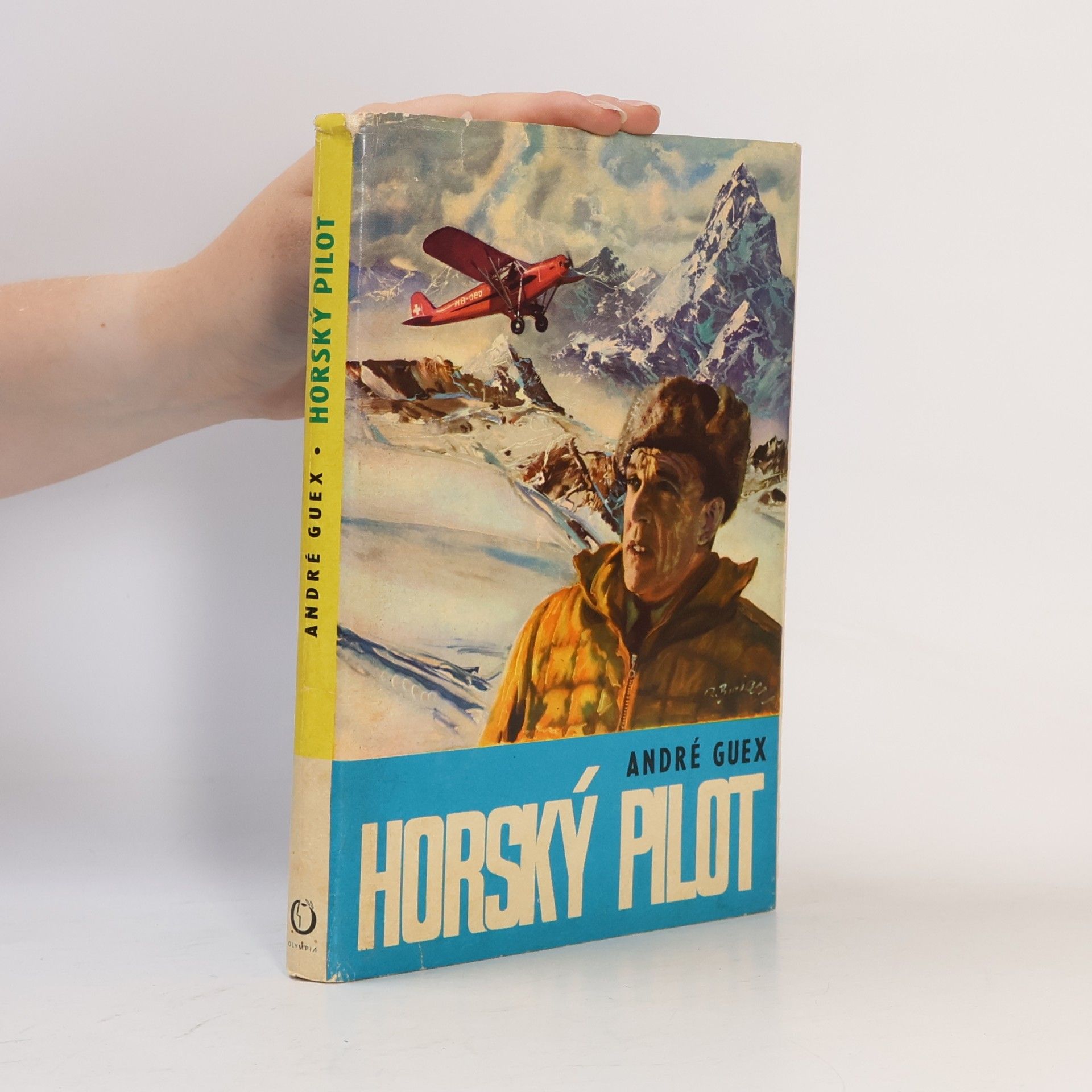 Horský pilot