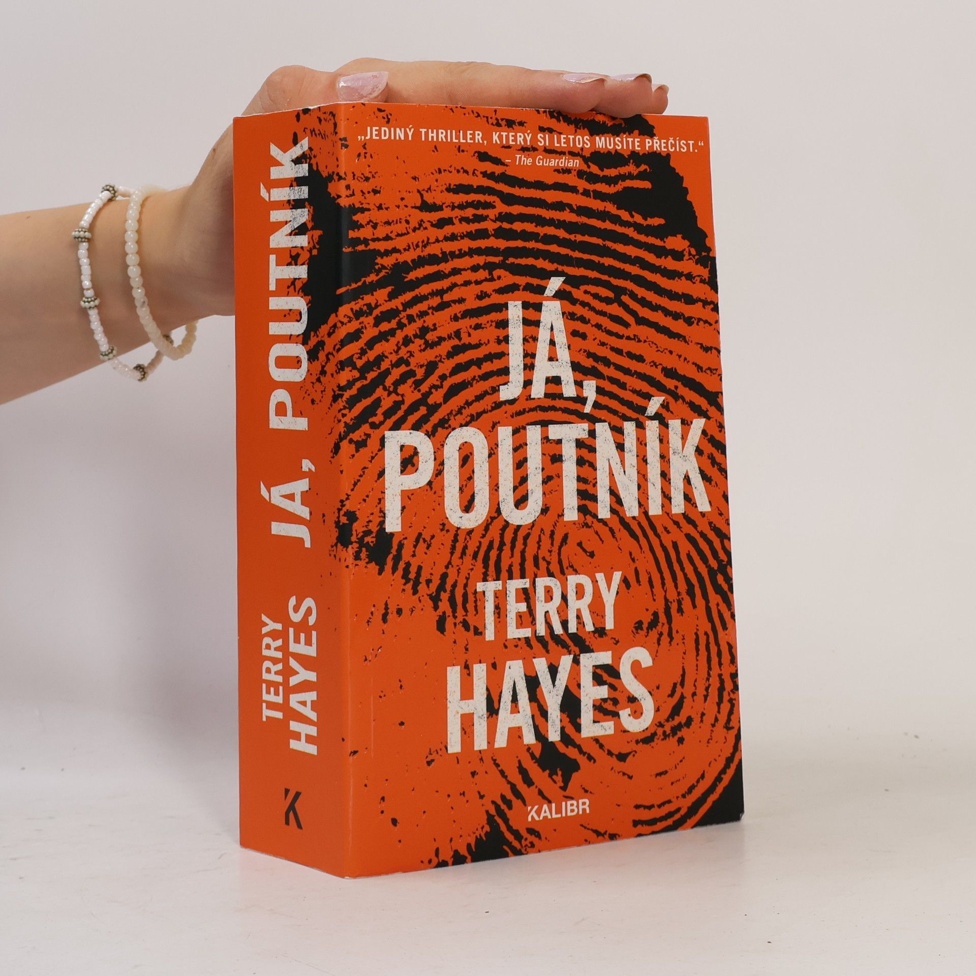 Terry Hayes Já, Poutník