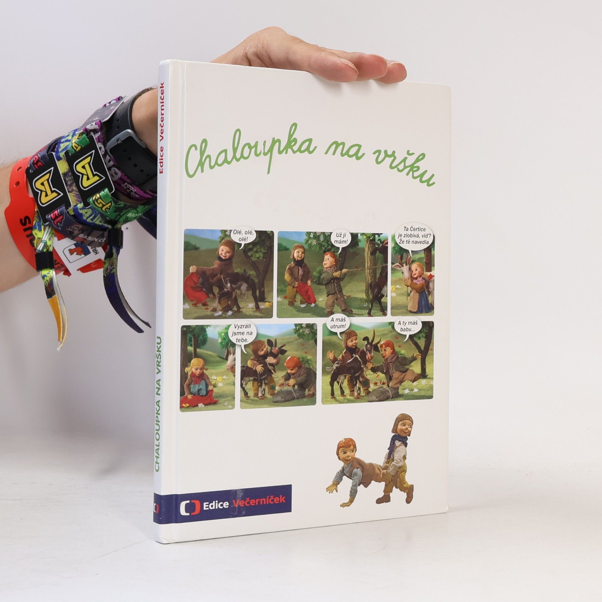Šárka Váchová Chaloupka na vršku