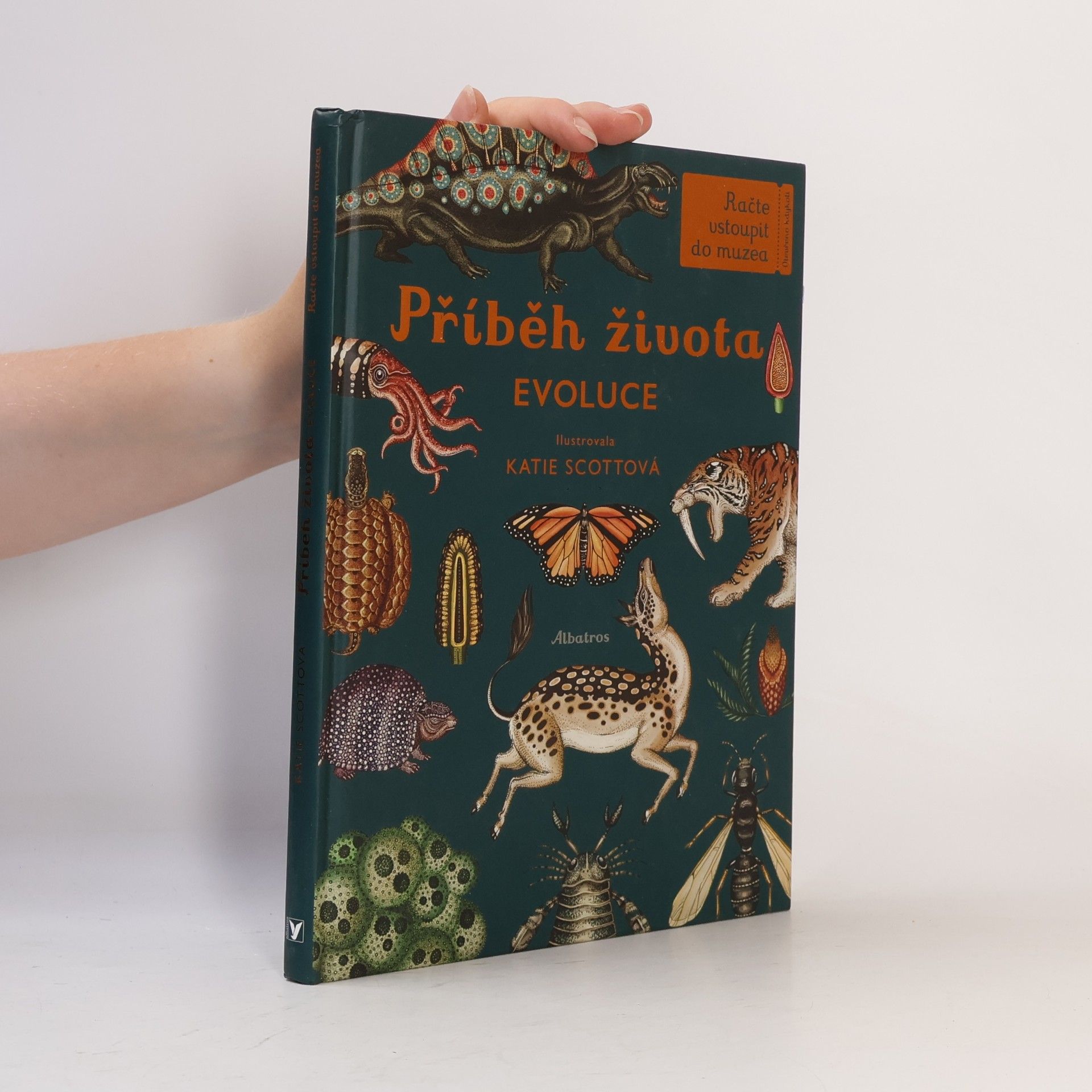 Ruth Symons Příběh života: Evoluce